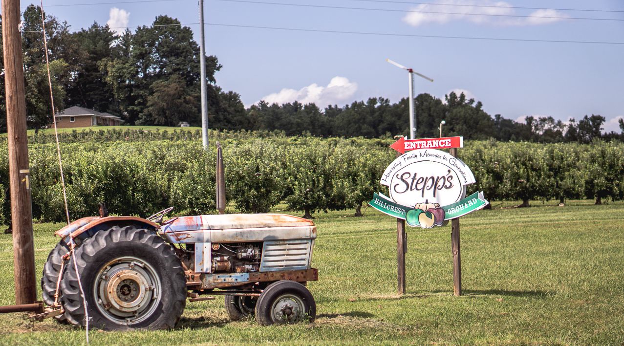 Vintage gray tractor parked beside Stepps farm sign surrounded by lush green crops and trees on a sunny day.