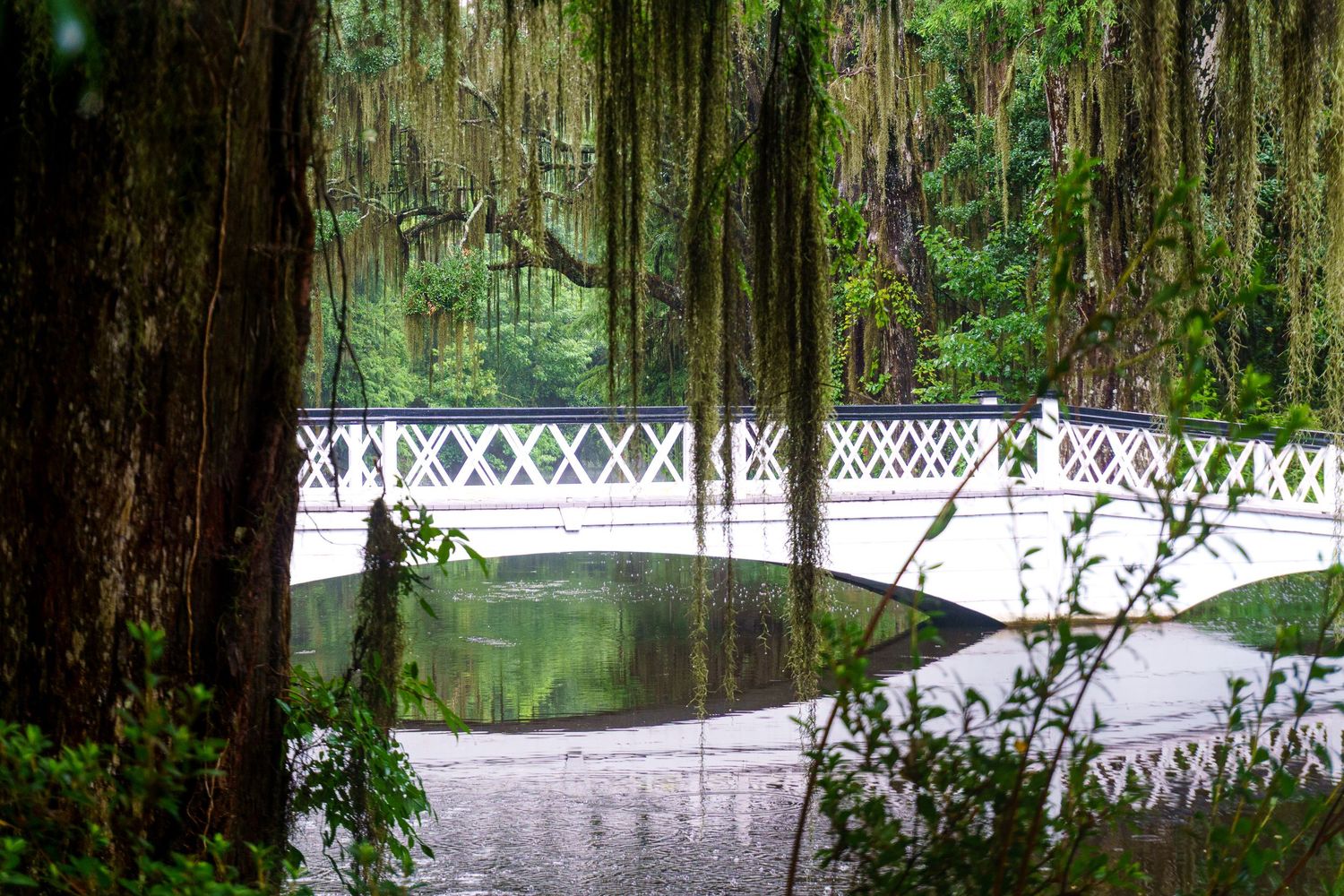 White lattice footbridge reflected in a still pond surrounded by moss-draped trees.