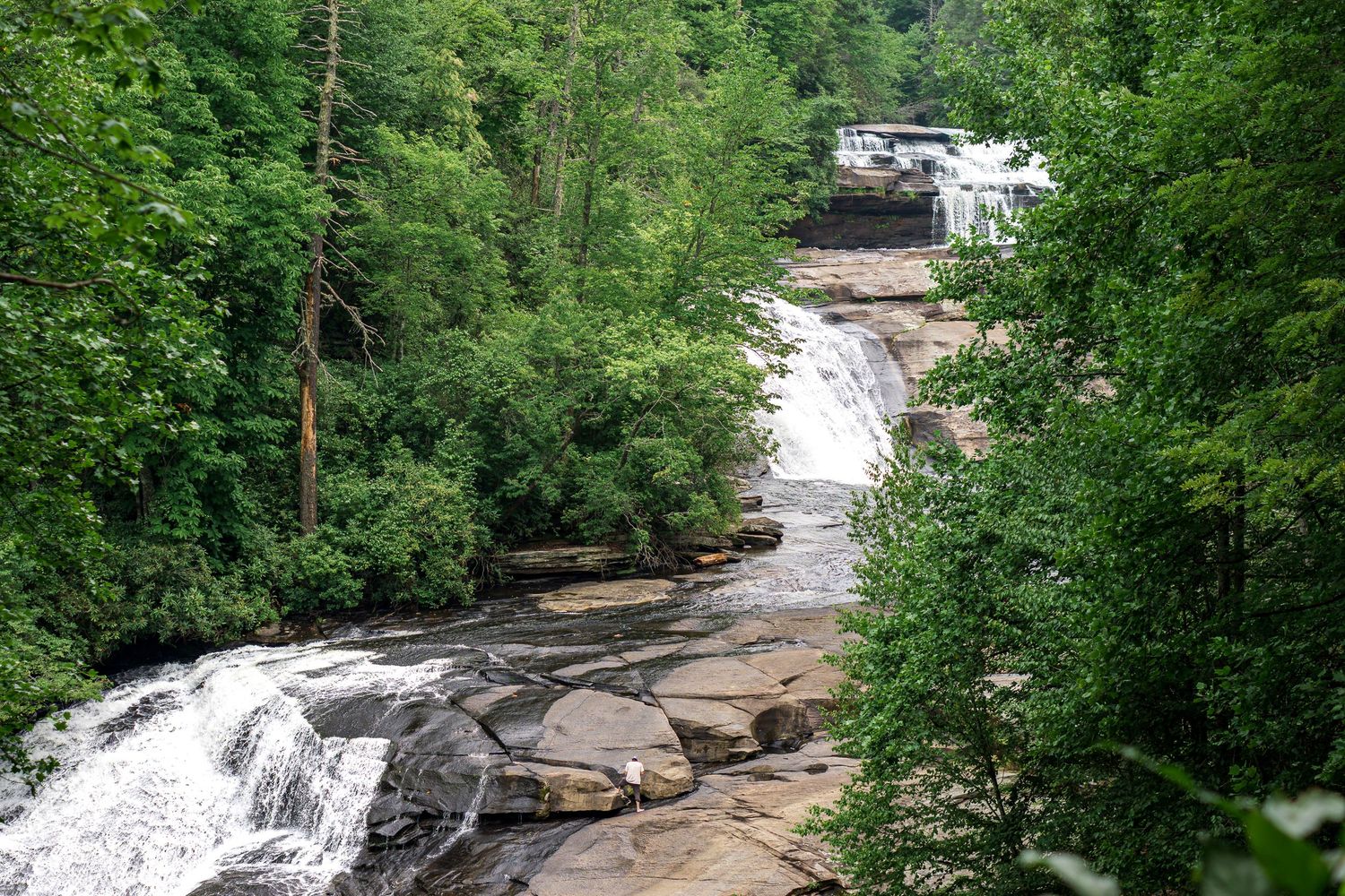 Scenic waterfall cascading over flat rocks surrounded by lush green forest trees in a natural woodland setting.