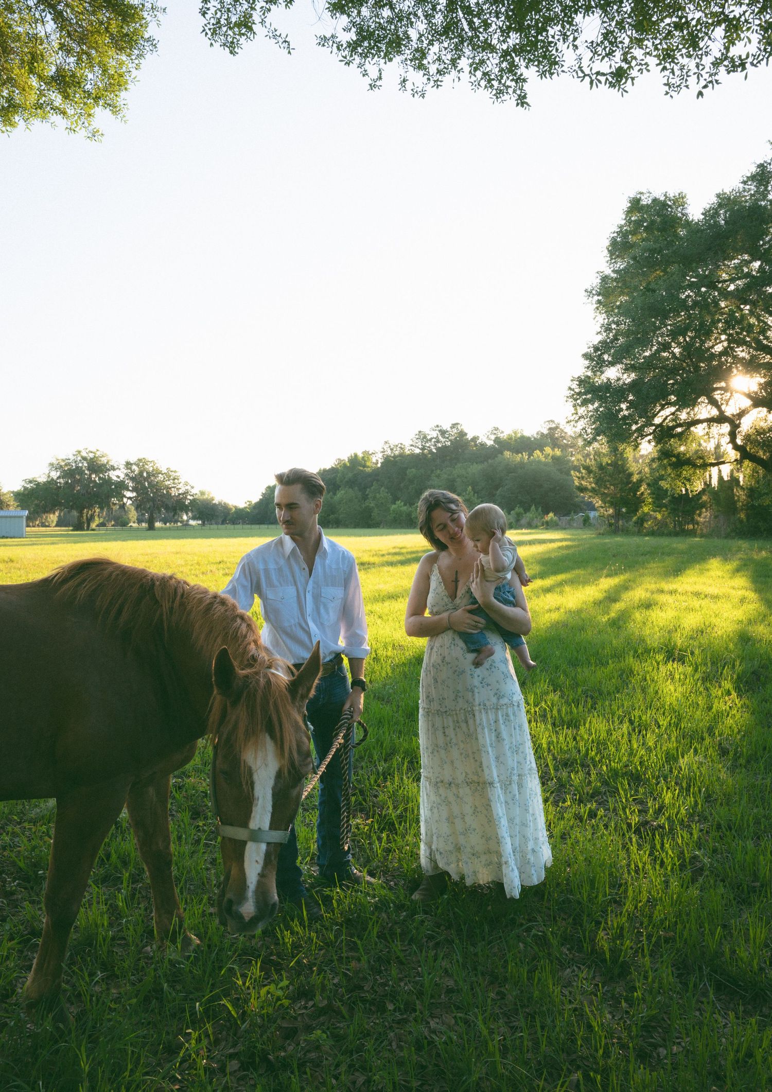 Young family with baby and horse standing in a sunlit green meadow at golden hour.