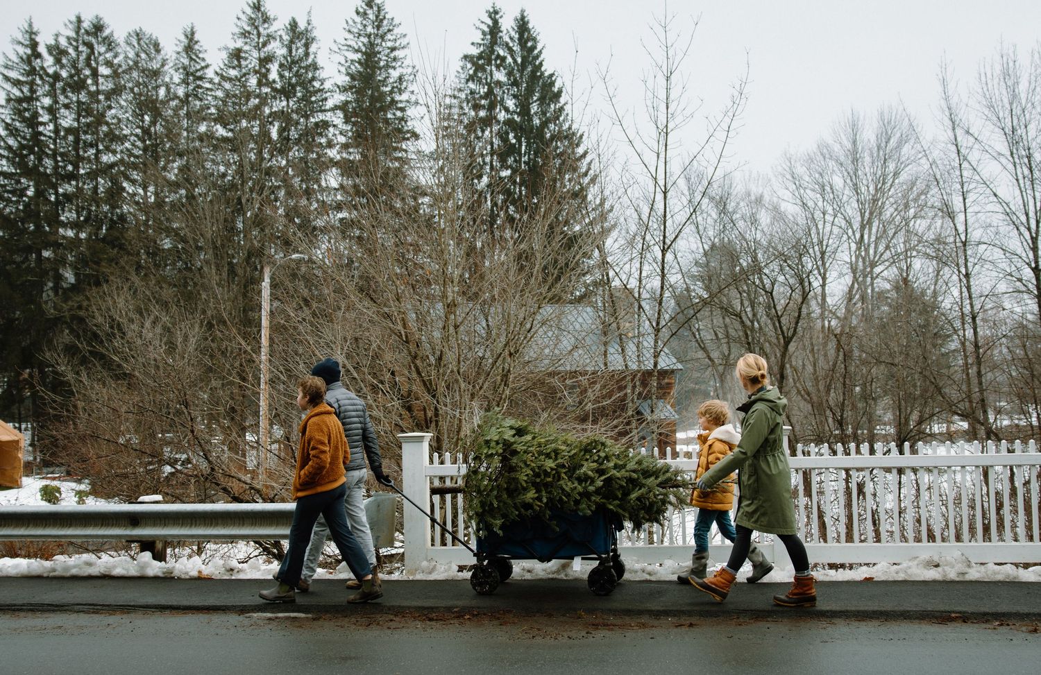 Family pulling a Christmas tree on a cart through a snowy neighborhood street in Woodstock, Vermont.