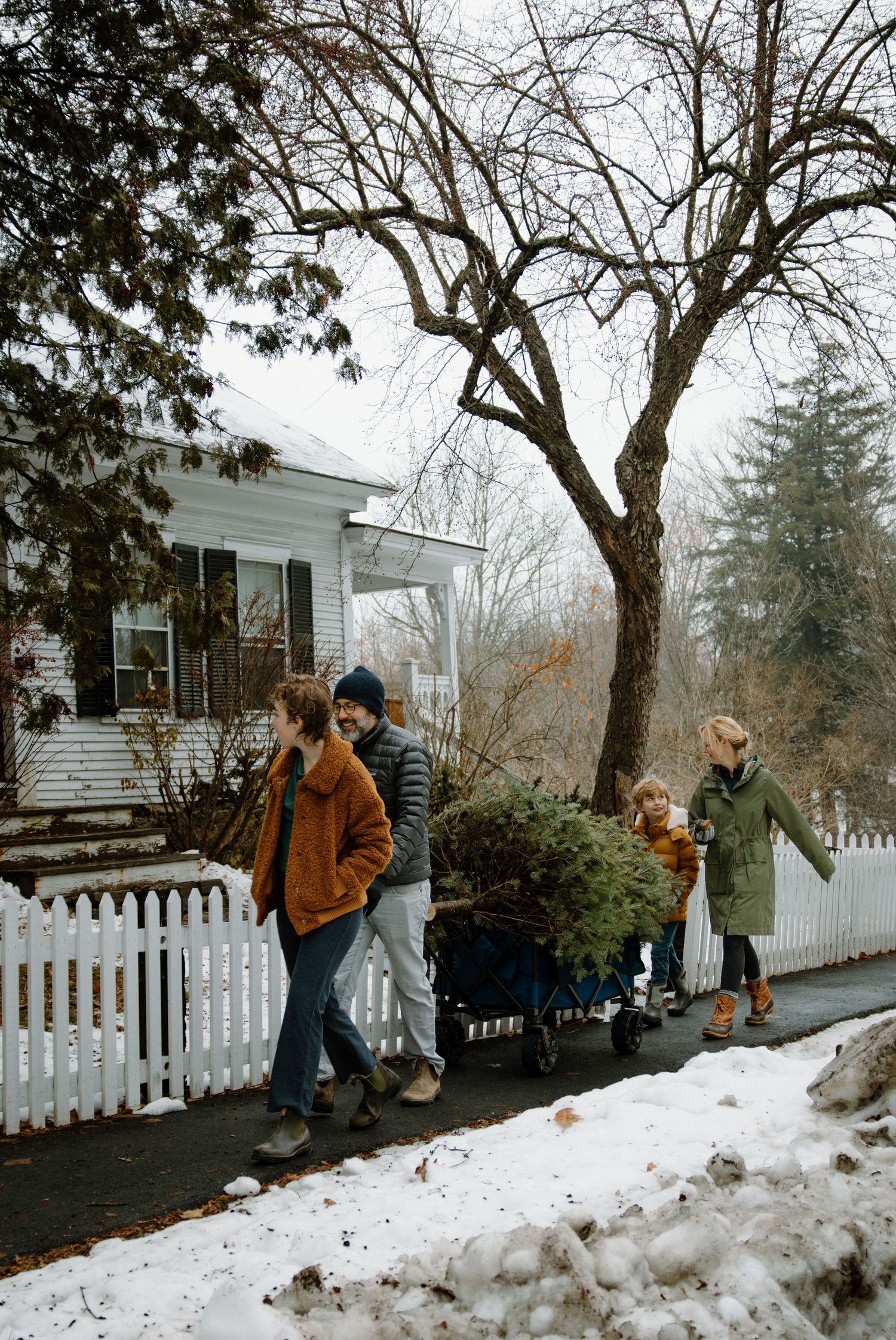 Family carrying a freshly cut Christmas tree past a white picket fence in winter snow in Woodstock, Vermont.