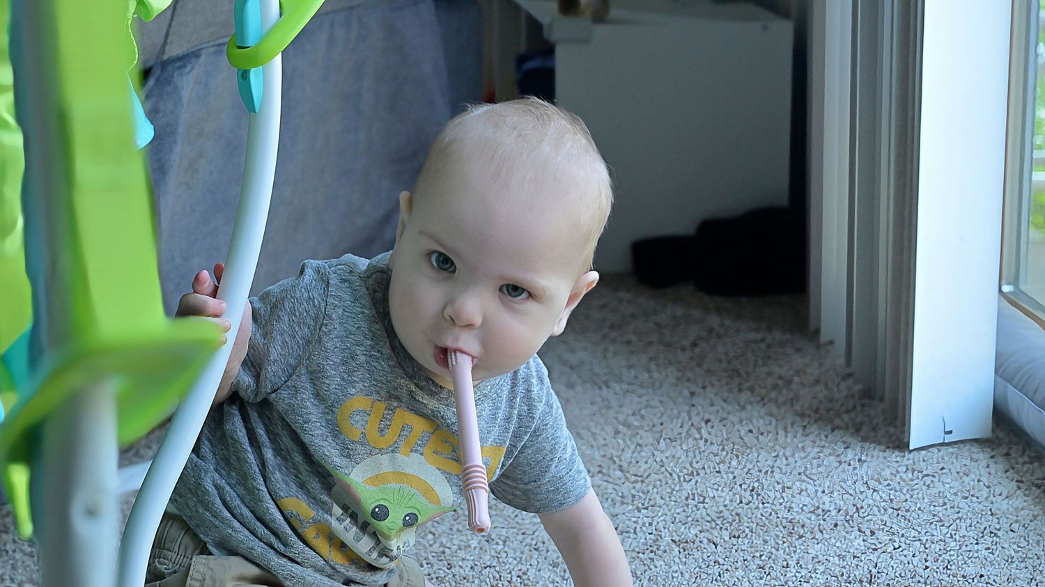A baby crawls on carpet near a glass door, chewing on a stick under a baby toy arch.