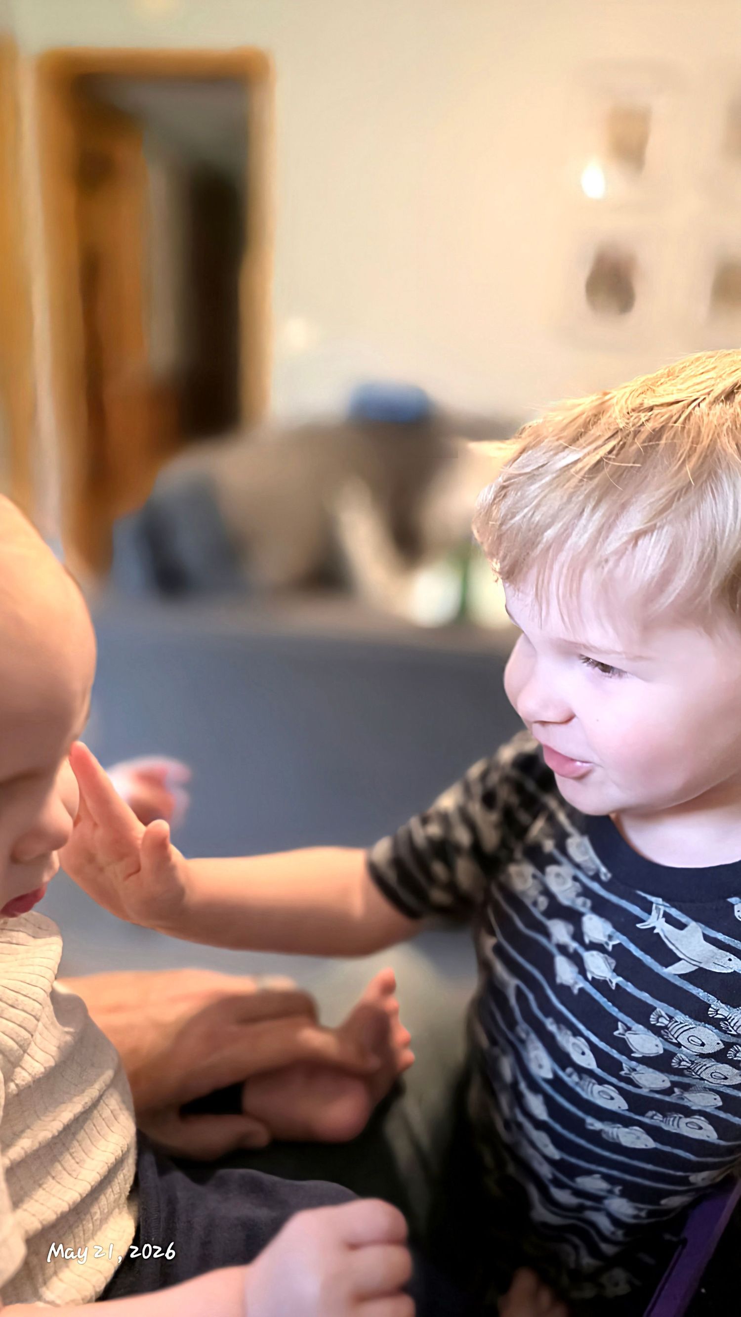 Blonde toddler boy gently touches a baby's face while interacting indoors in a warmly lit home.