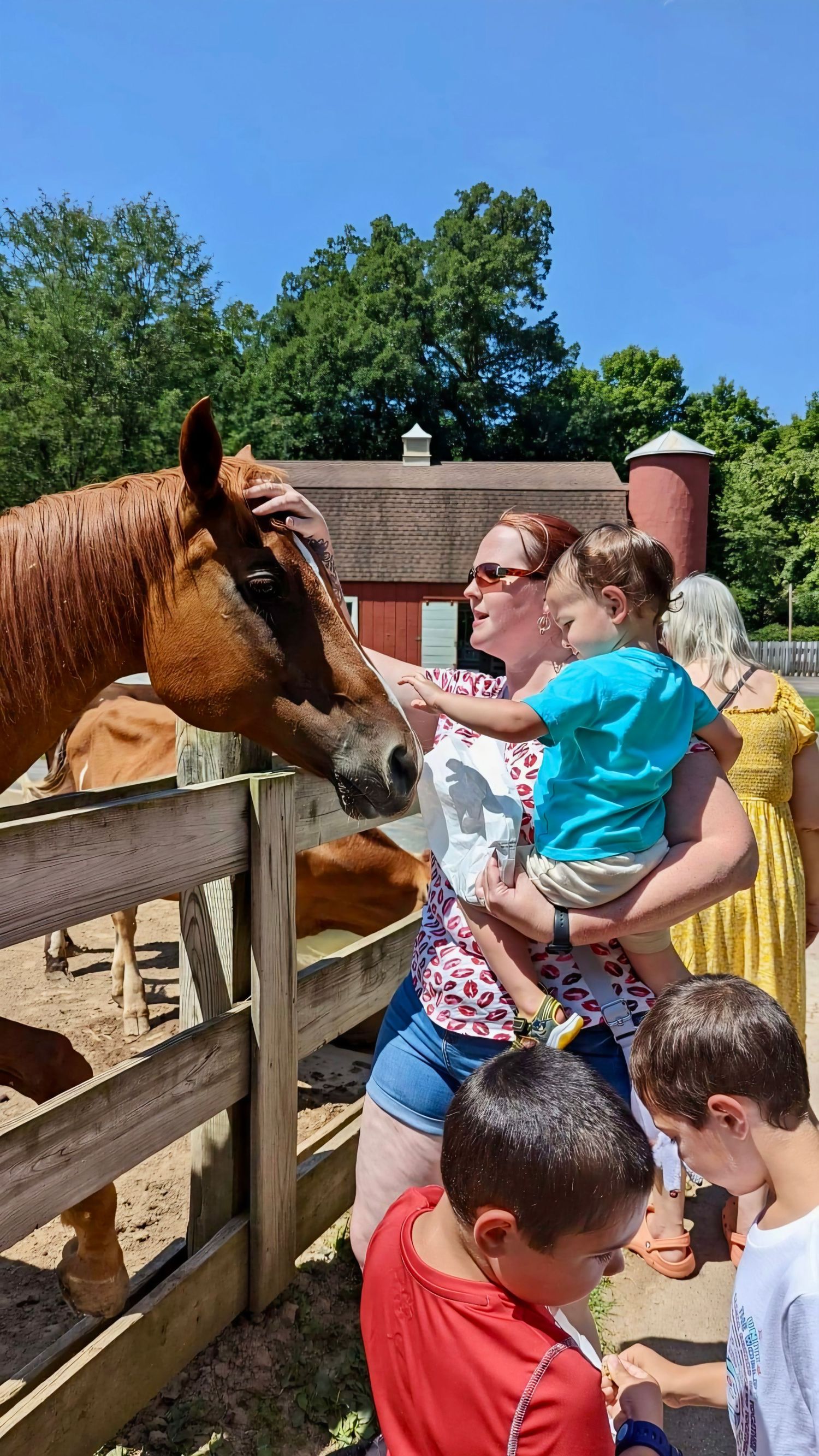Mother holding child petting a brown horse at a farm on a sunny day.
