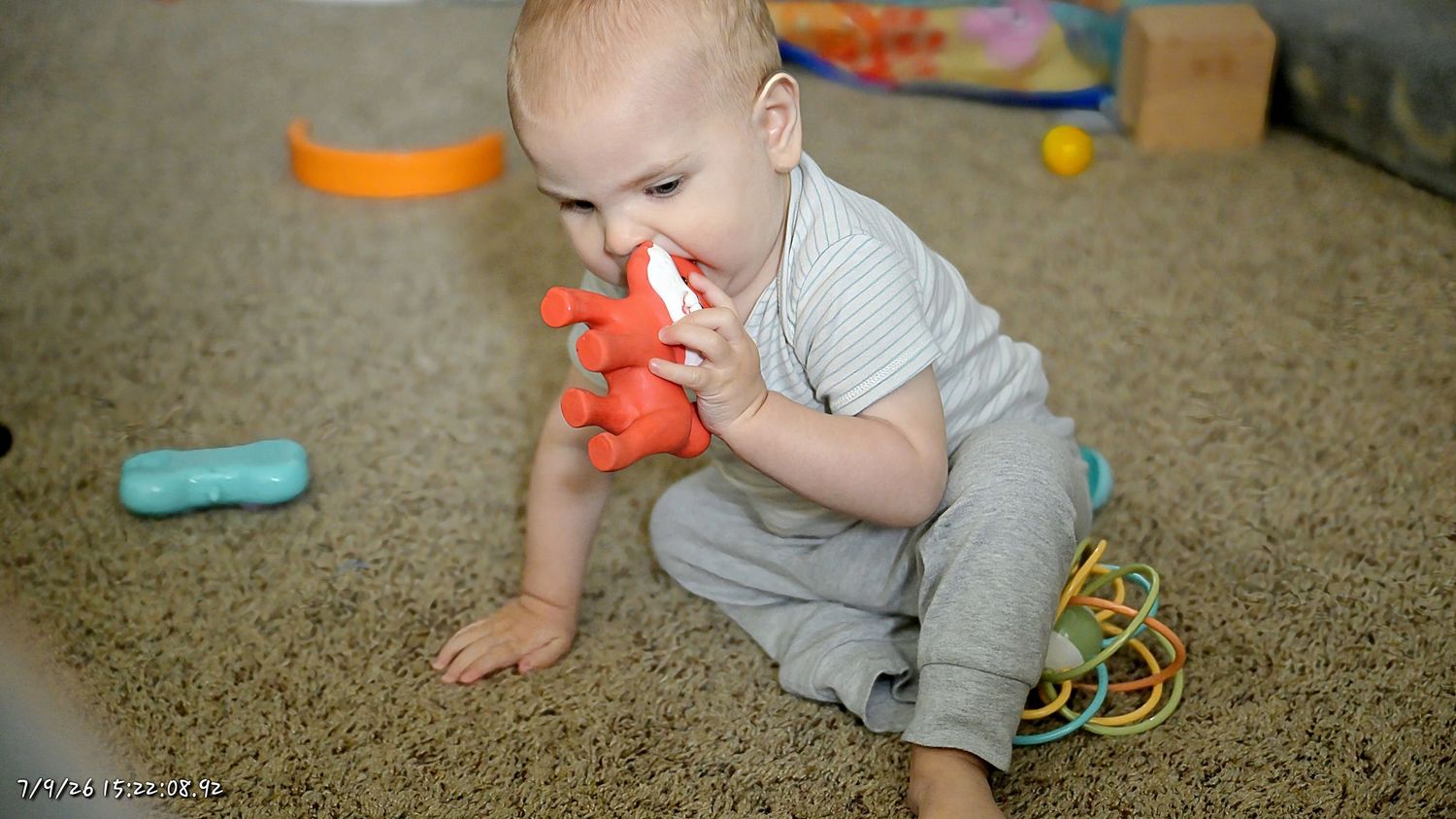 A baby sitting on beige carpet mouthing a red toy with colorful toys scattered nearby.