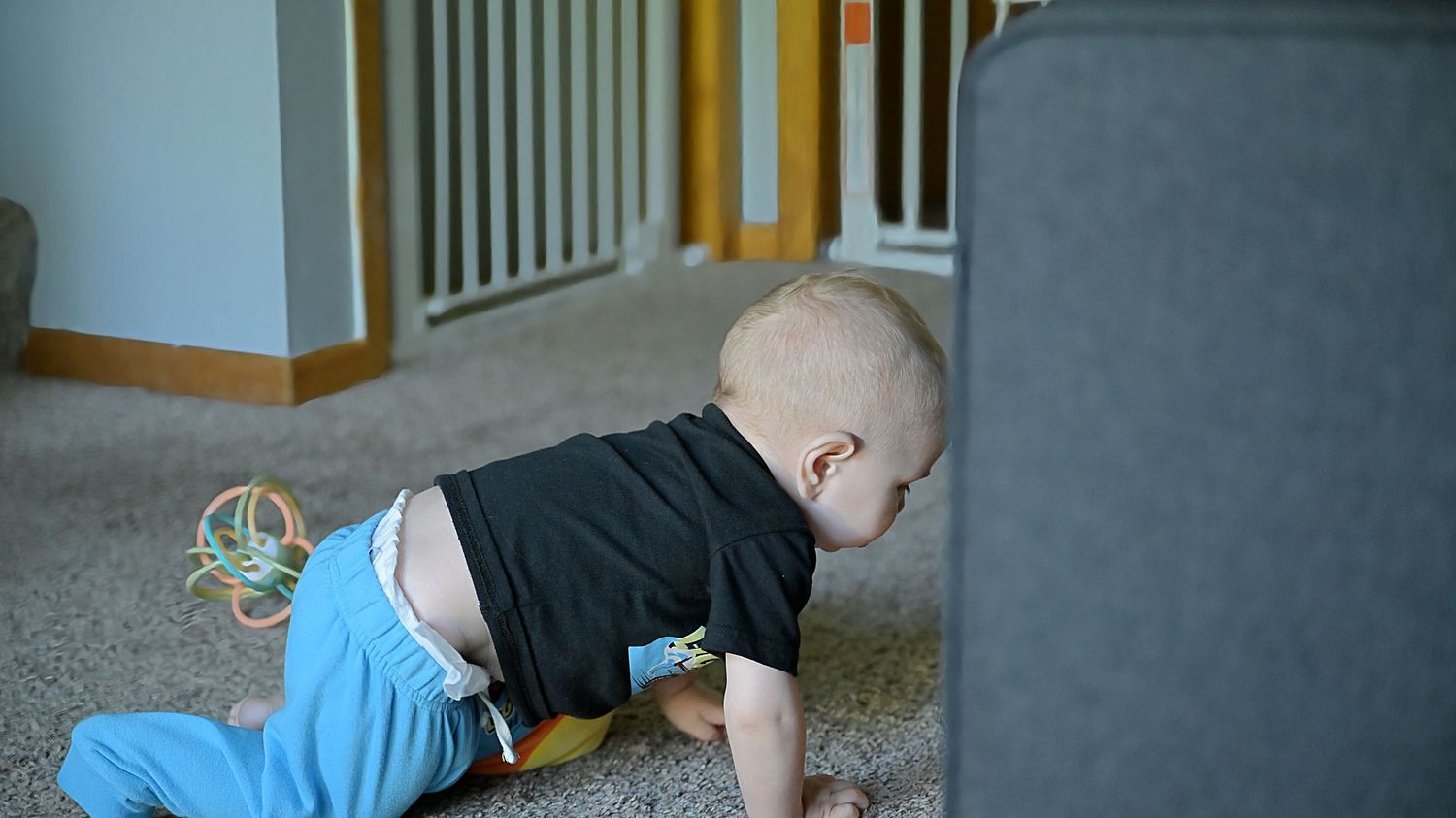 Curious baby crawling toward gray sofa on carpet near baby gate.