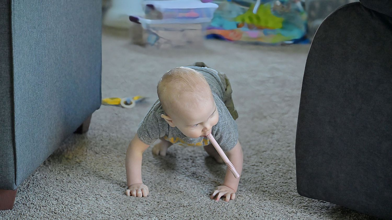 A baby crawls on carpet between two sofas while holding a small object in hand.