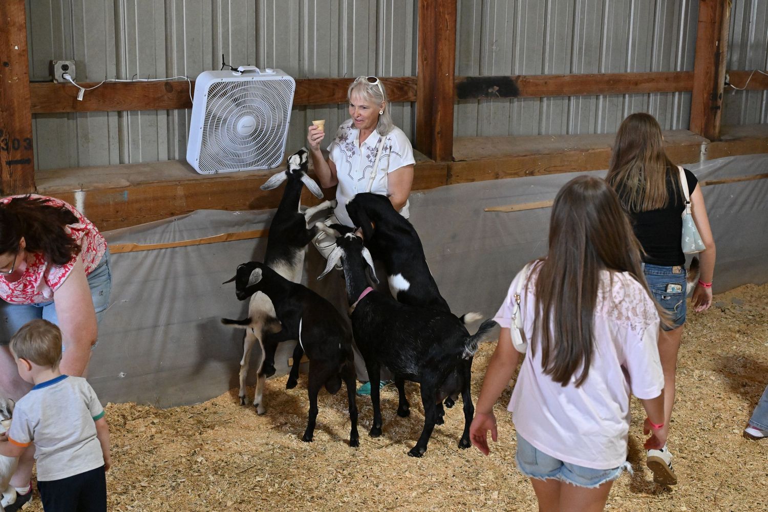 Woman feeds a group of black and white goats inside a barn while children watch.
