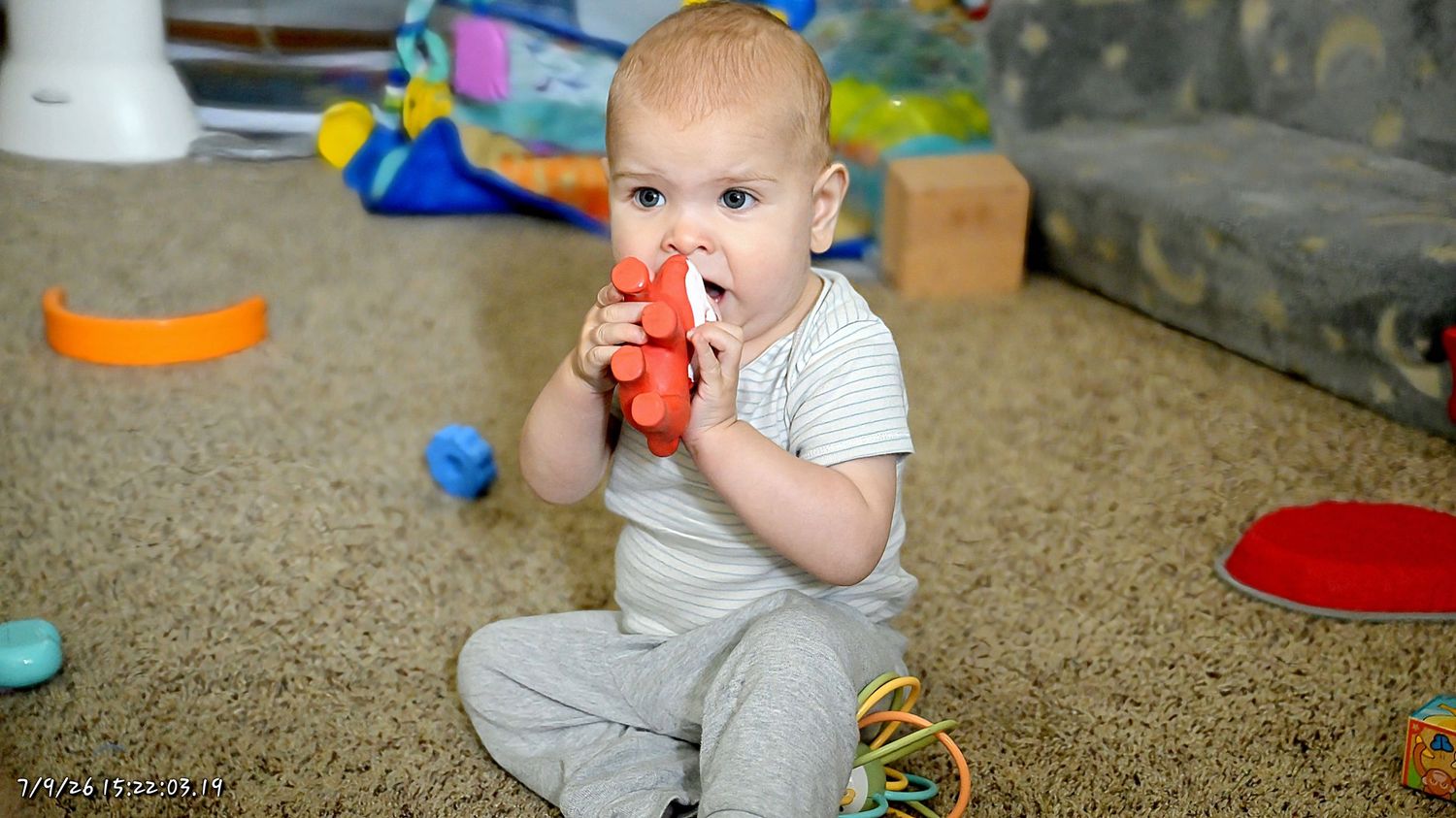 A cute baby sitting on carpet chewing on a red toy surrounded by colorful toys.