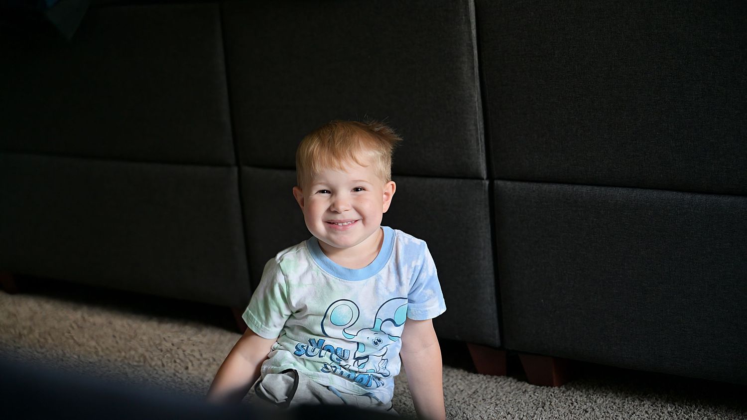 Smiling toddler sitting on carpet in front of sofa.