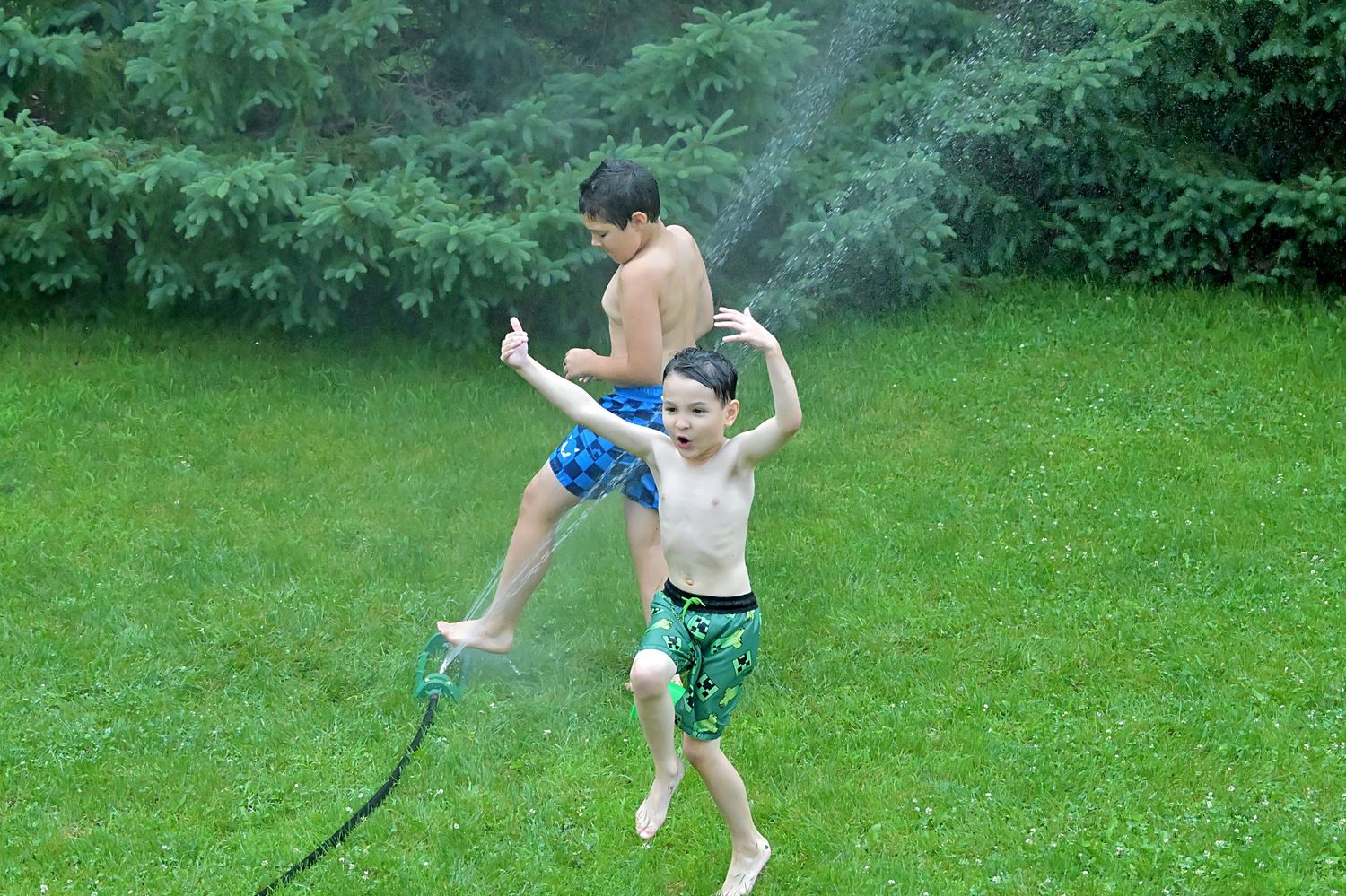 Two boys running and playing in a backyard sprinkler on a summer day.
