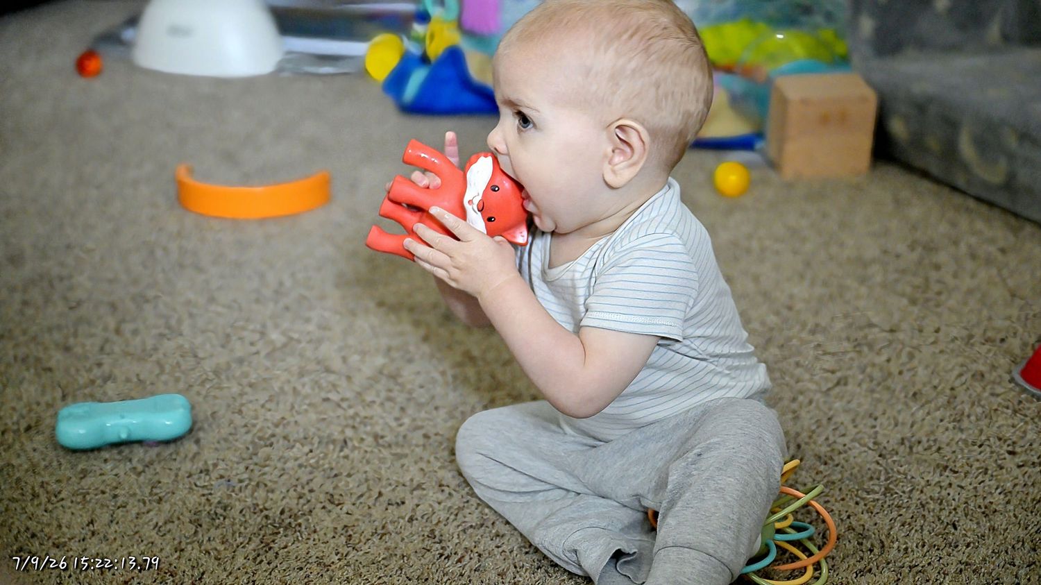 A baby sitting cross-legged on carpet chewing on a red toy with toys in the background.