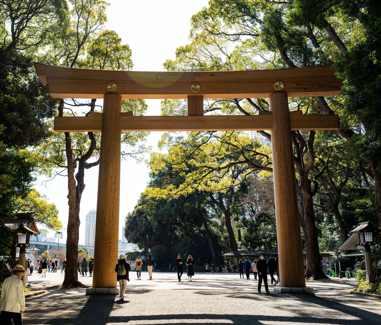 Traditional Japanese wooden torii gate at Meiji Shrine entrance surrounded by tall trees with visitors walking beneath.