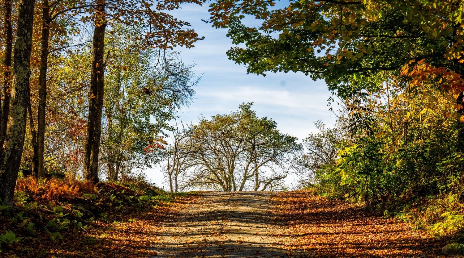 Scenic autumn forest path lined with colorful fall foliage leading to a bright clearing.