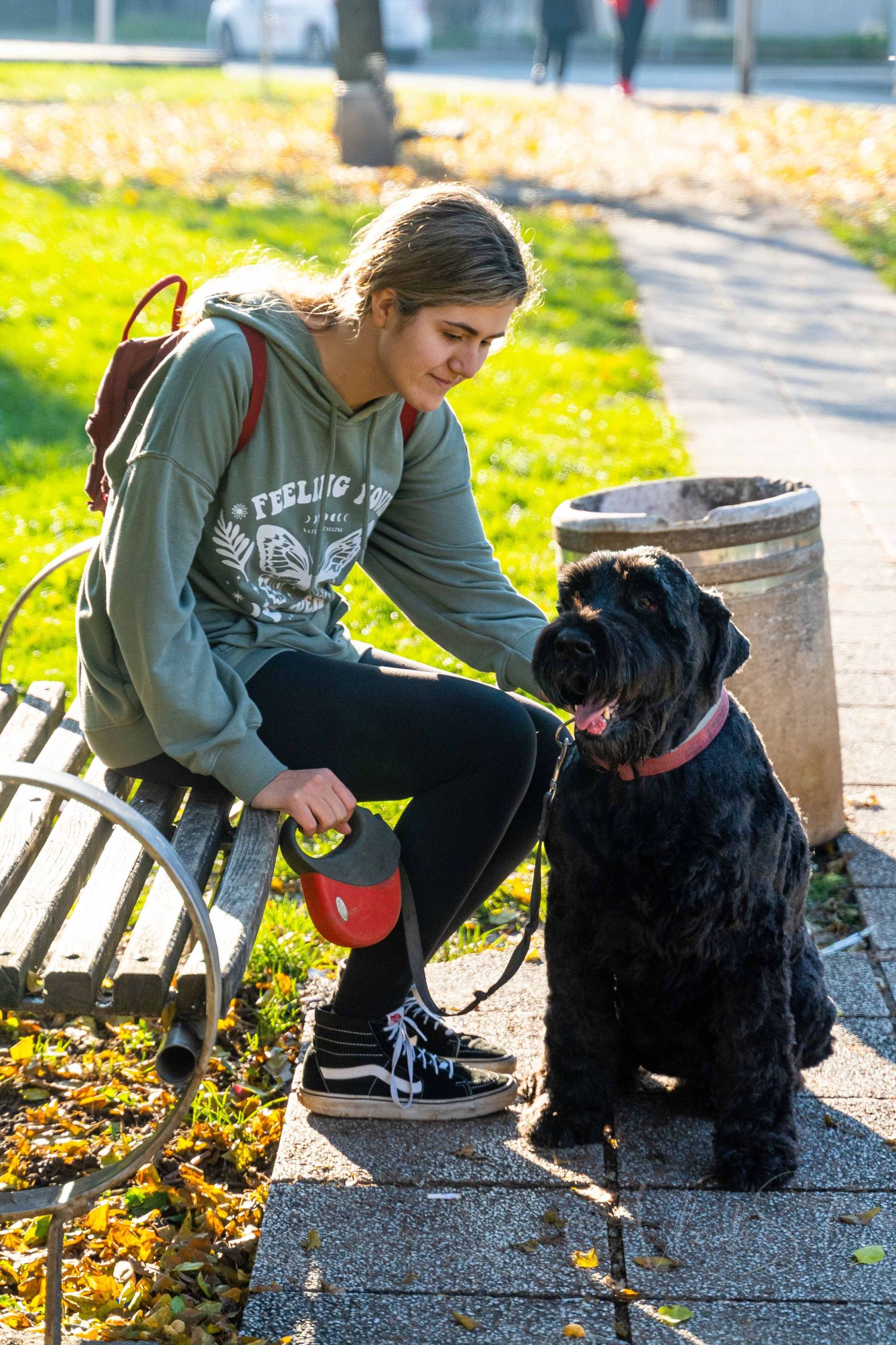 Young woman sitting on park bench petting a black schnauzer dog on a sunny autumn day.