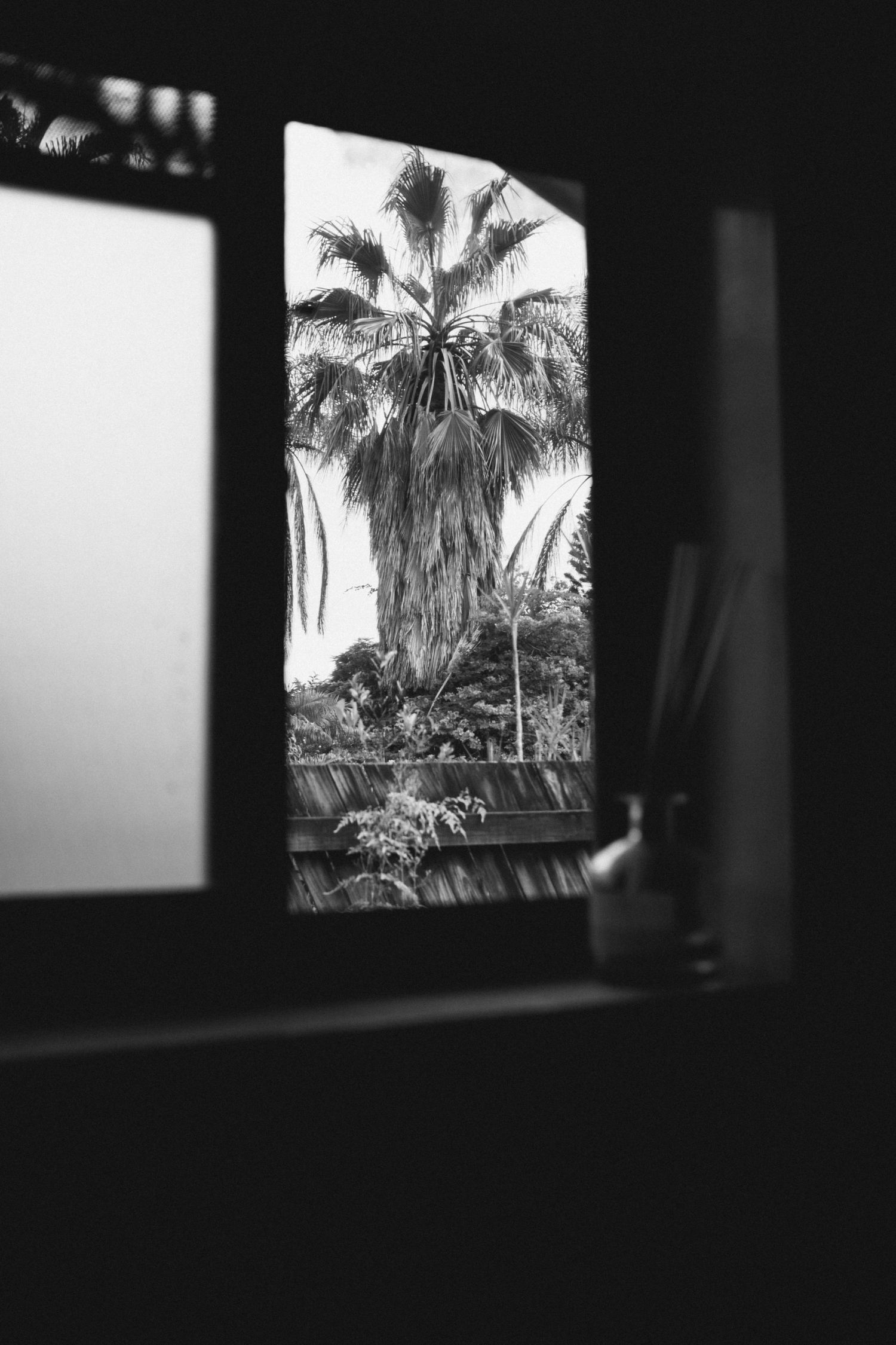 Travel photo taken in Brisbane, Australia