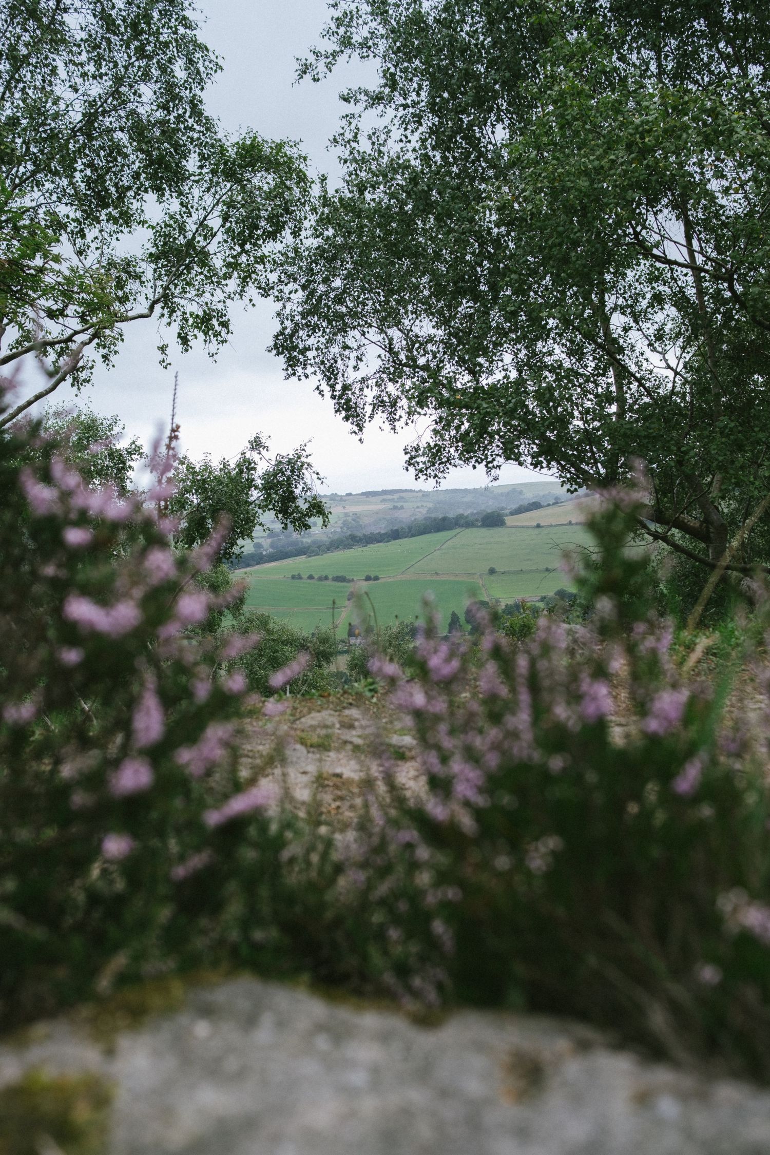 Travel photo taken in Derbyshire, UK