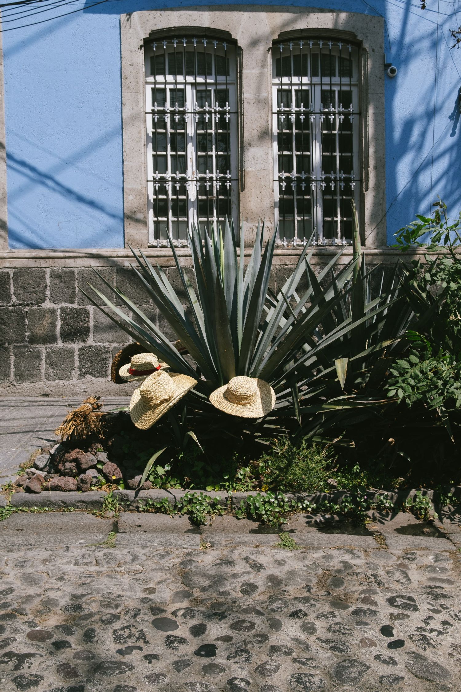 Travel photo taken in Mexico City