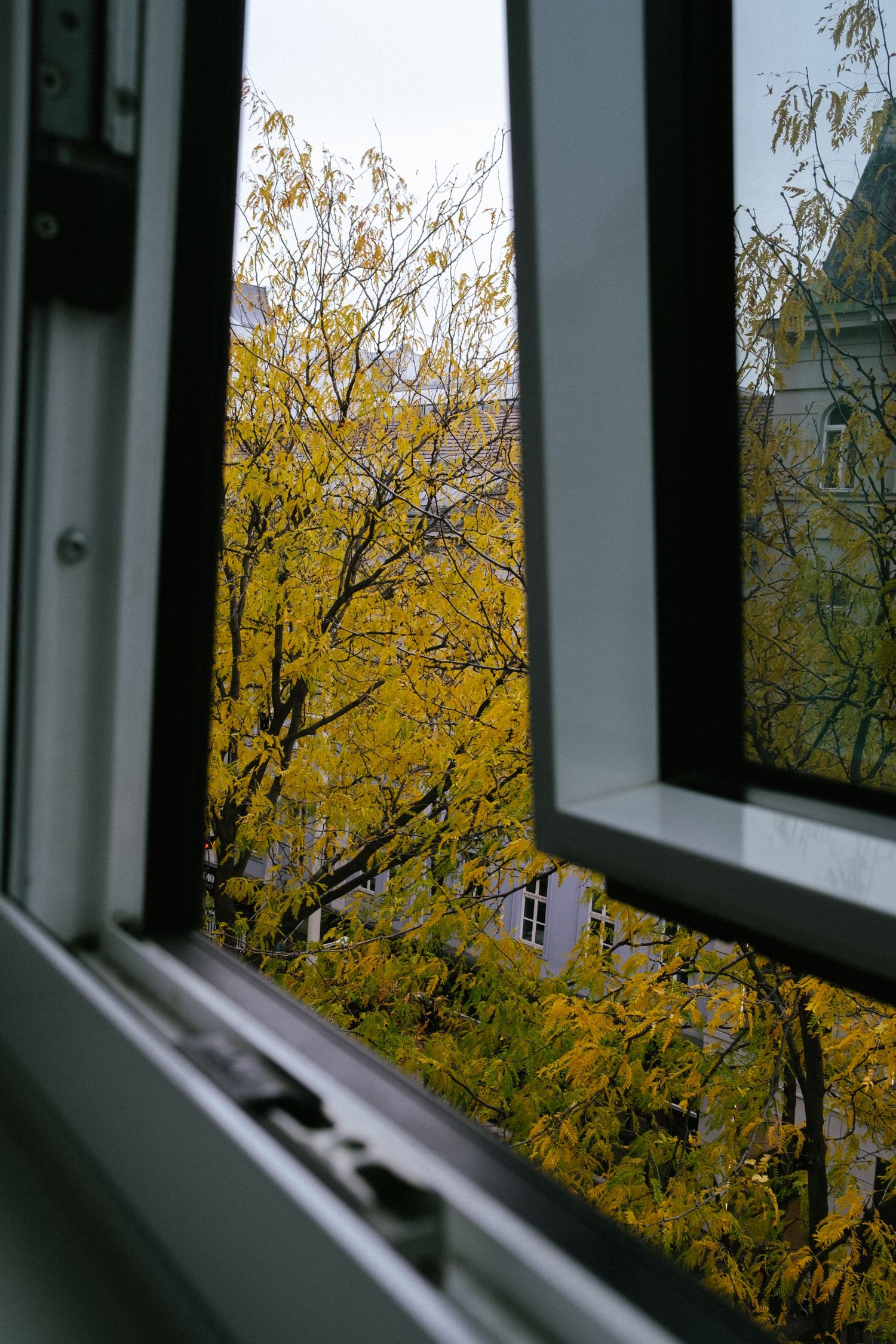 Travel photo taken in Vienna, Austria