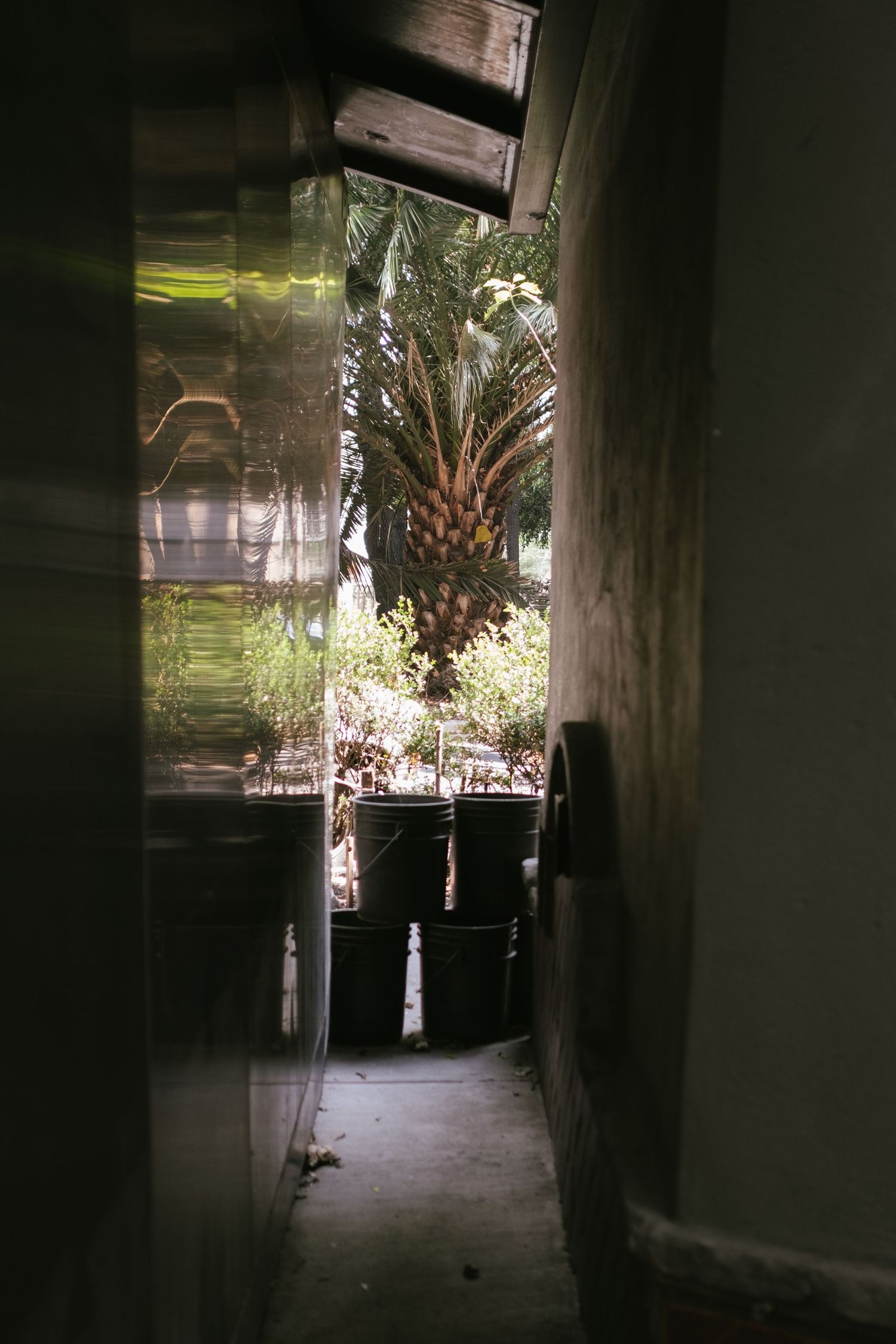 Travel photo taken in Mexico City
