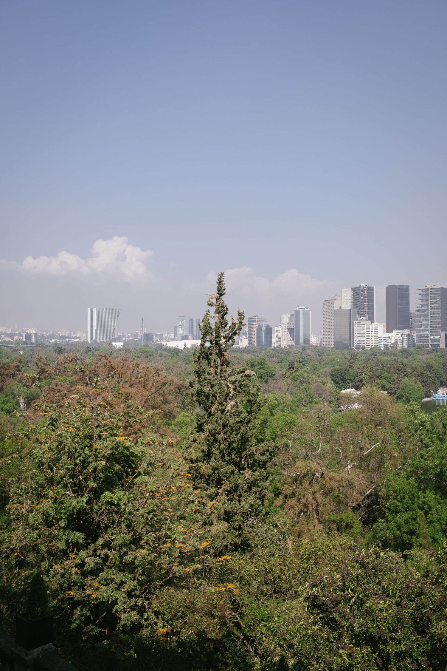 Travel photo taken in Mexico City