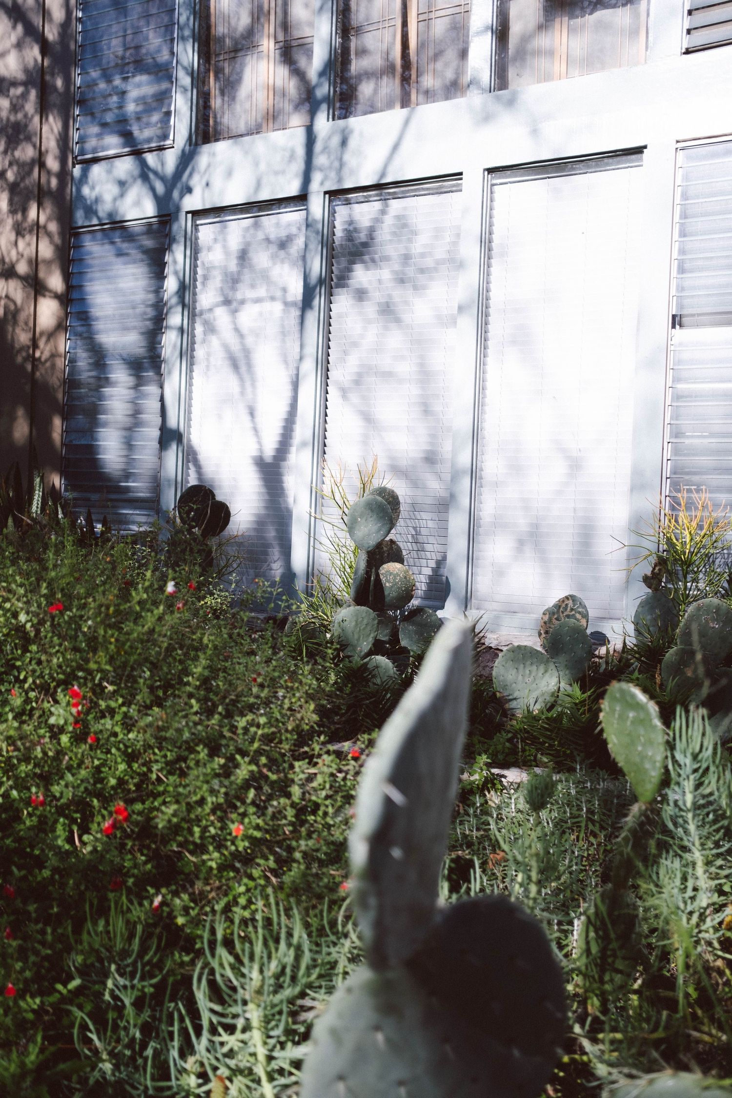Travel photo taken in Los Angeles