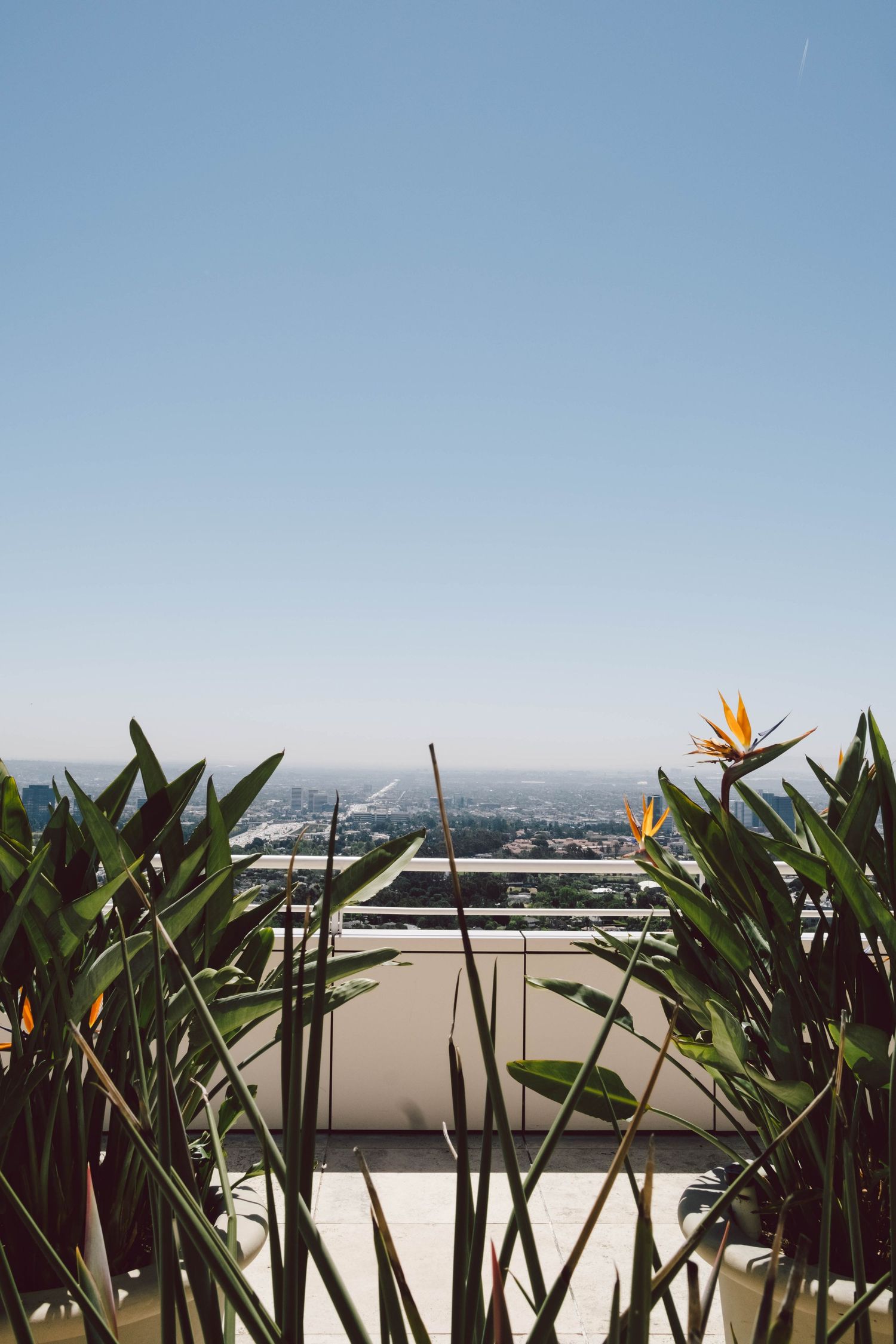Travel photo taken in Los Angeles, at the Getty Centre
