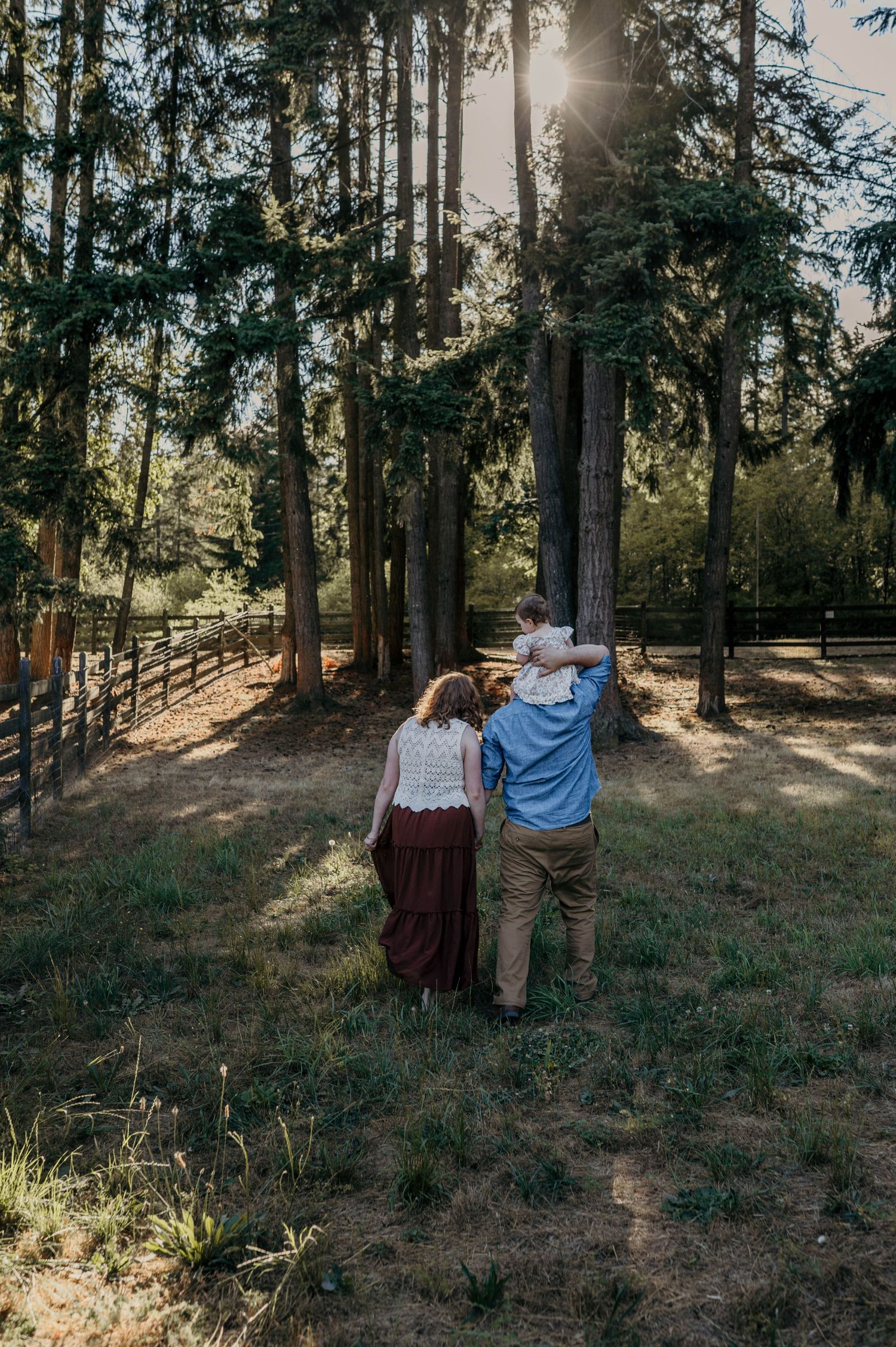 Family of three walking away on a grassy path through sunlit evergreen trees, a child riding on the father's shoulders.