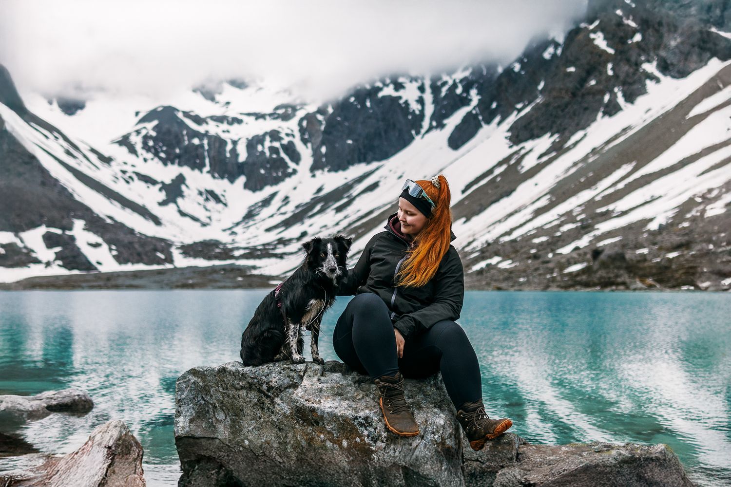 Bordercollie Blåvatnet