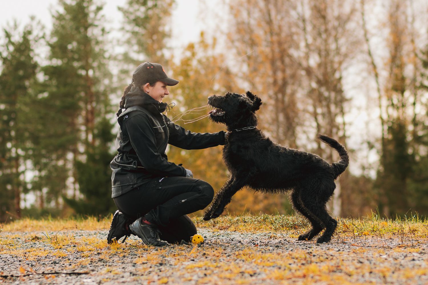Suursnautseri haukkuu