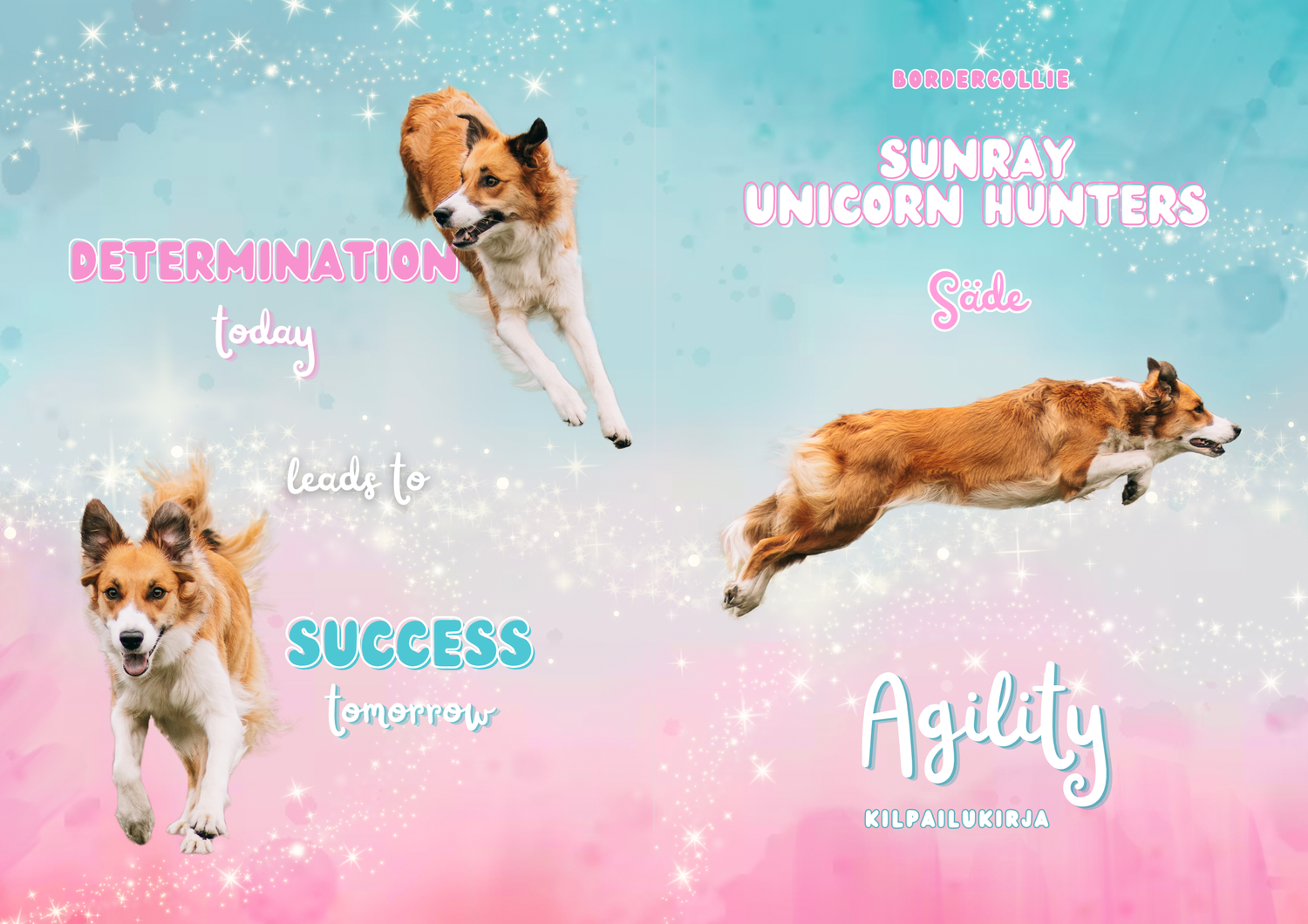 Agility kilpailukirja border collie