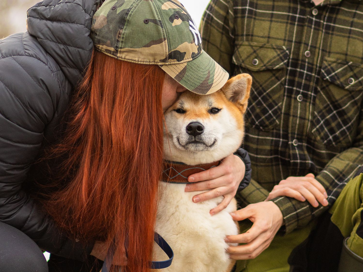 Shiba