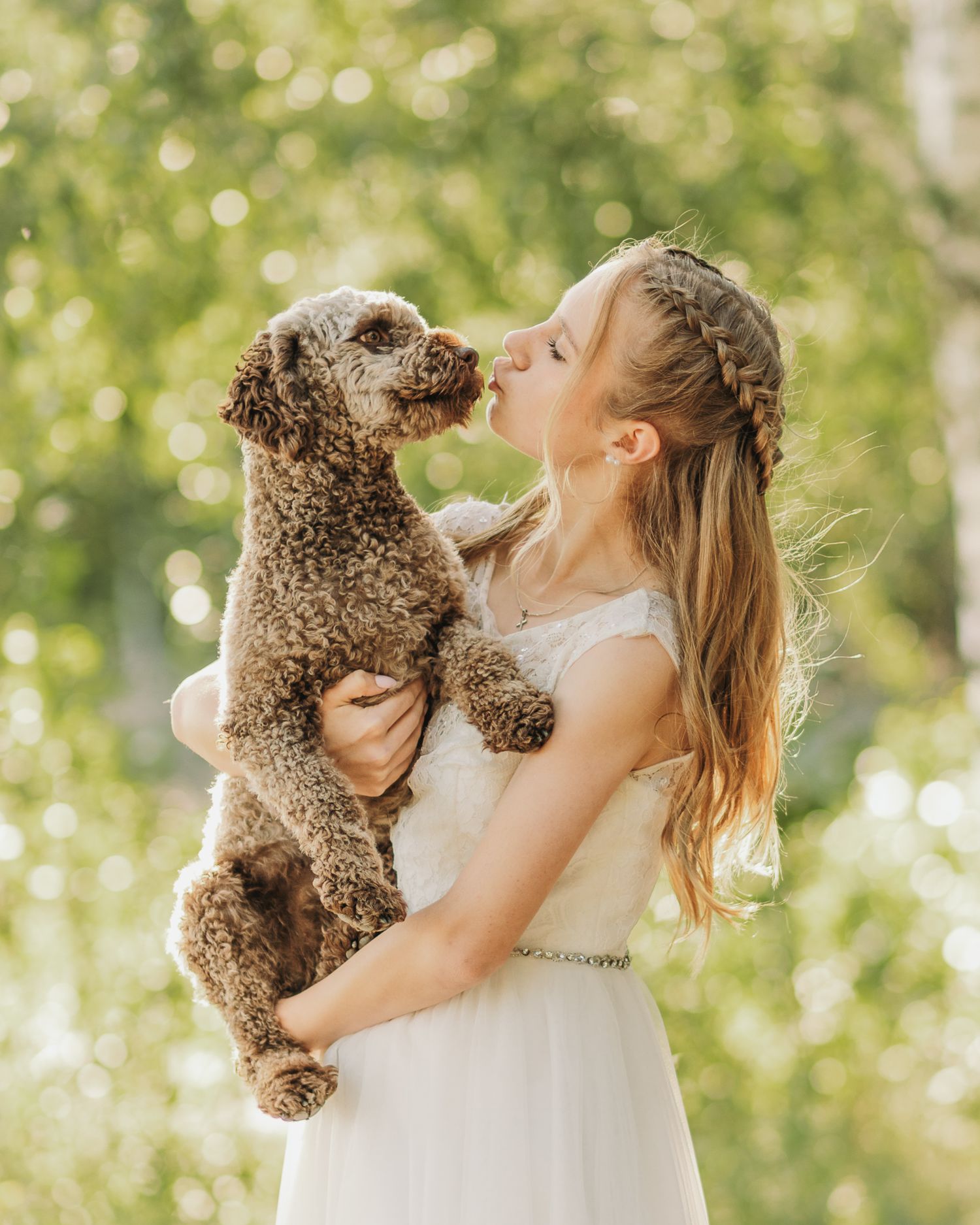 Lagotto Romagnolo rippikuva