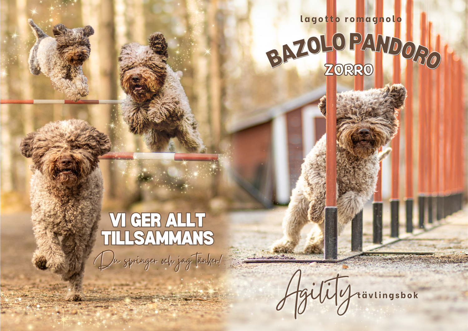 Agility kilpailukirja lagotto romagnolo