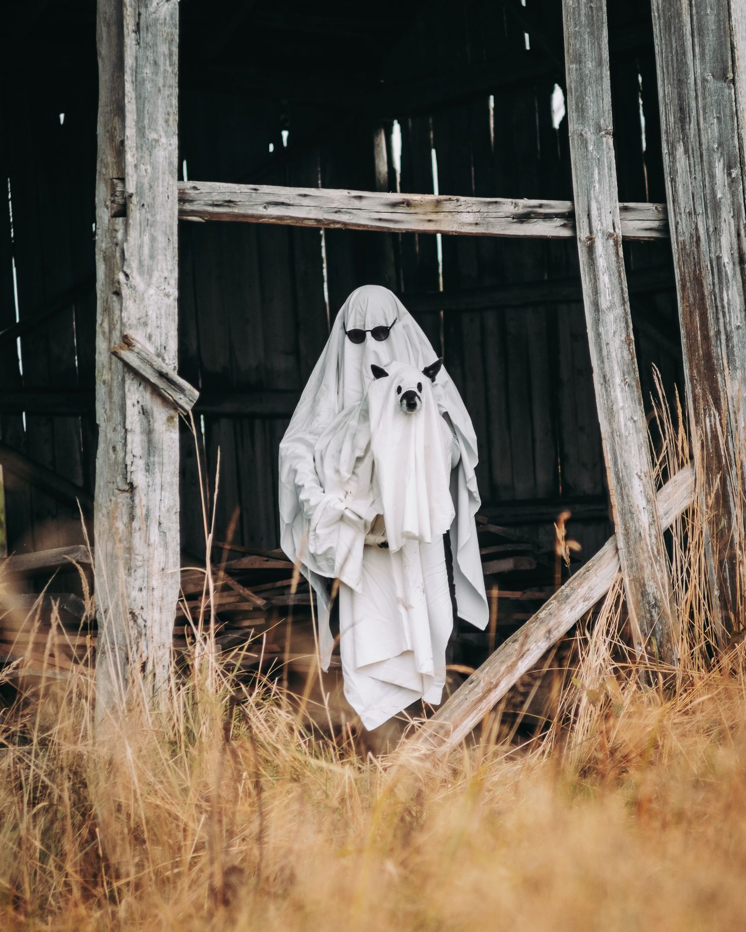 Koira ja omistaja pukeutuneena halloween-asuun