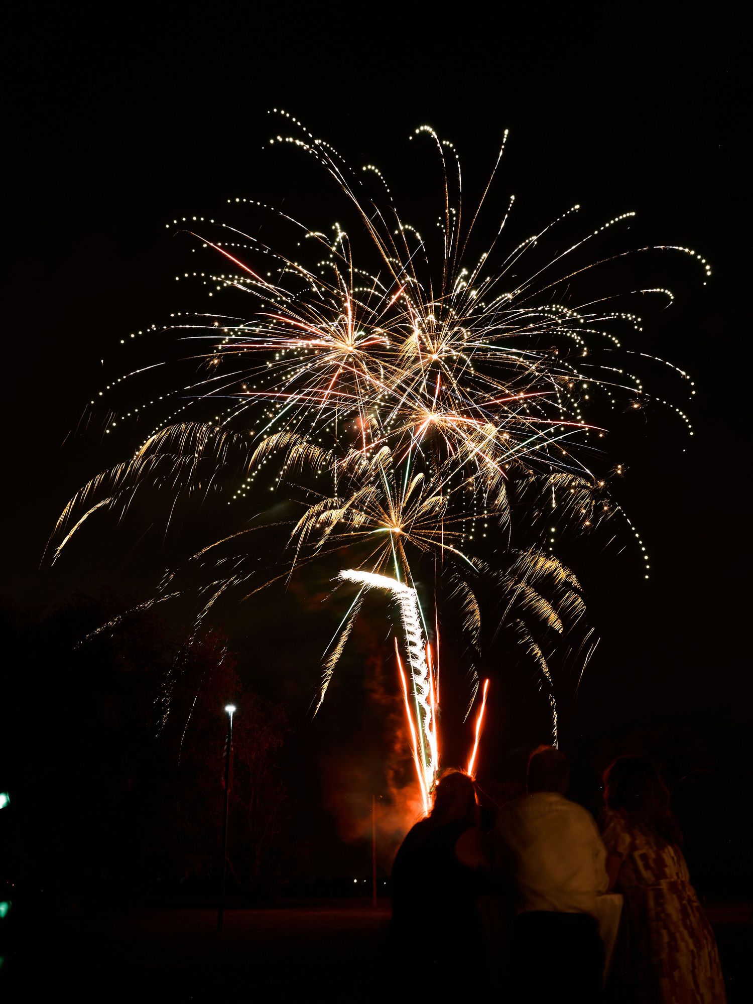 Colorful fireworks burst across the dark night sky as silhouetted guests watch a celebration display.