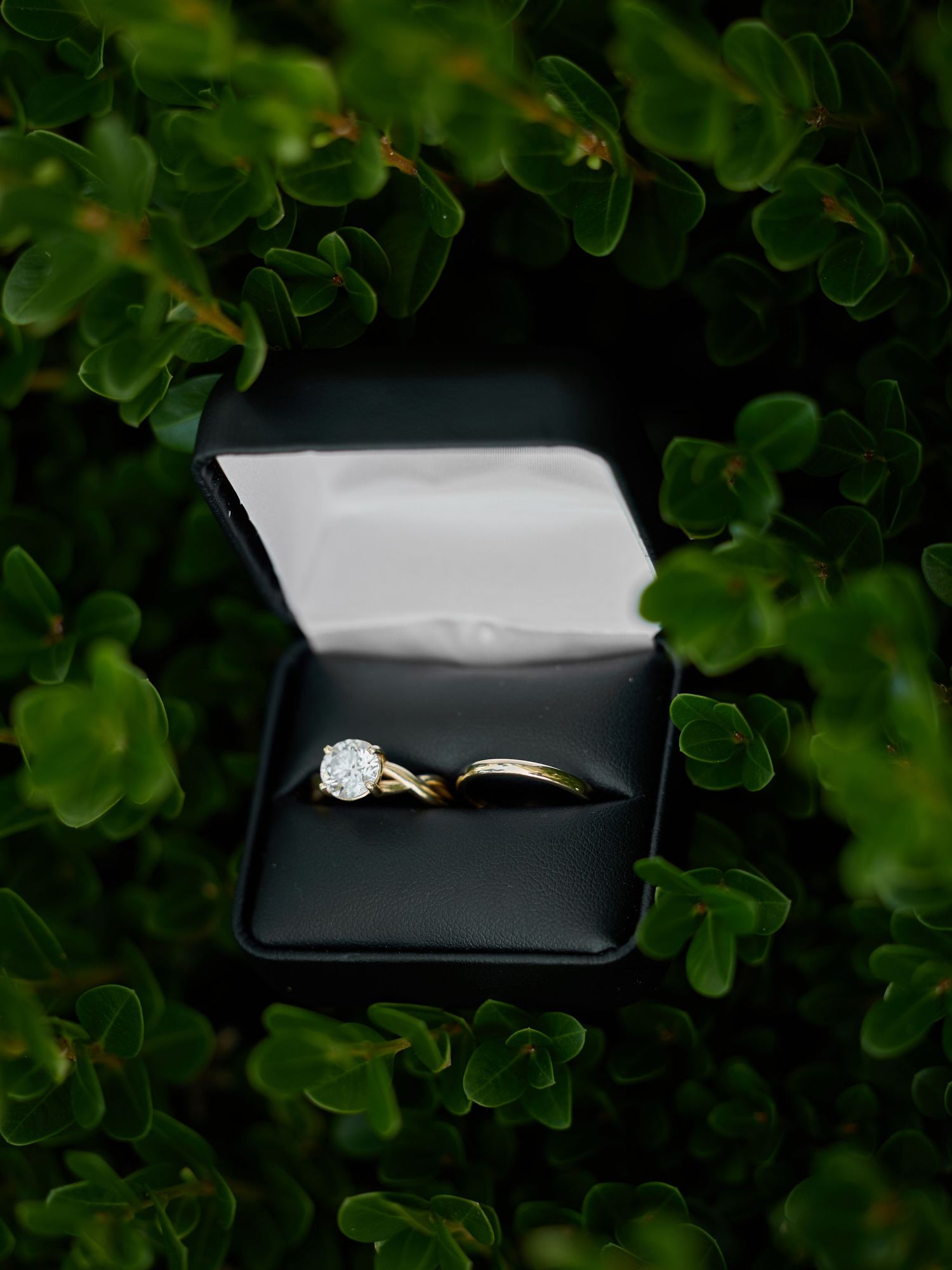 Diamond engagement ring and wedding band resting in a black ring box surrounded by green leaves.