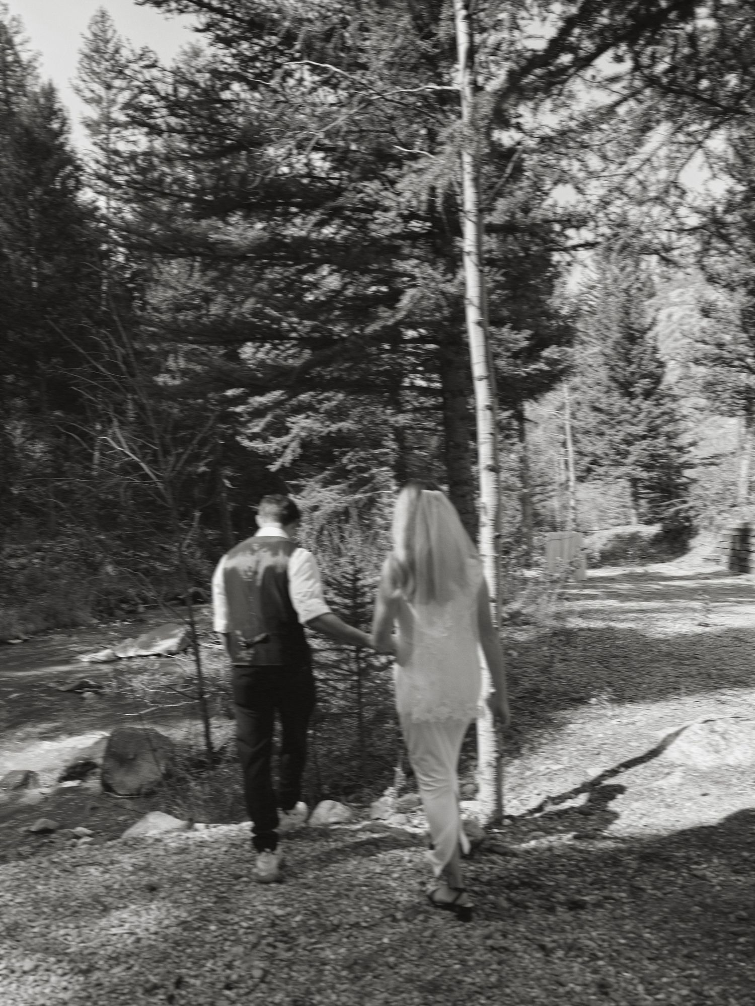 Black and white photo of a bride and groom holding hands as they walk along a forest path lined with tall pine trees.