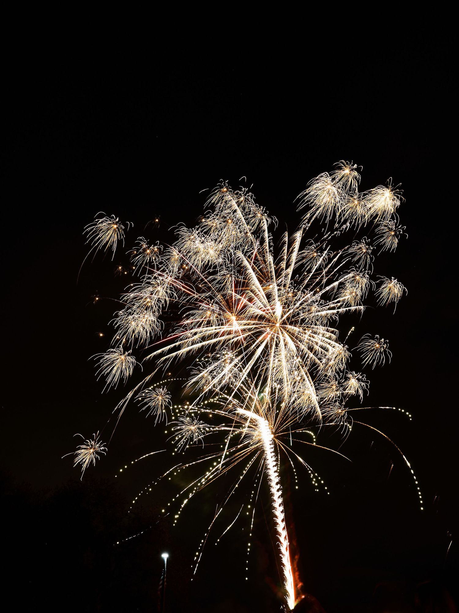 Golden fireworks burst in a sparkling starburst against the dark night sky with a bright trail rising from the ground.