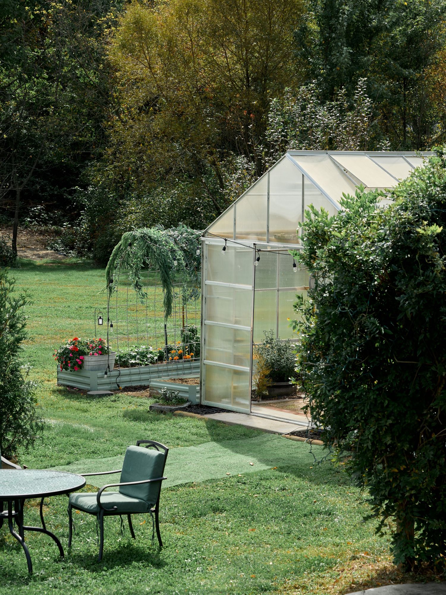 Glass greenhouse and raised flower beds in a sunny backyard garden with a bistro table and green chair on the lawn.