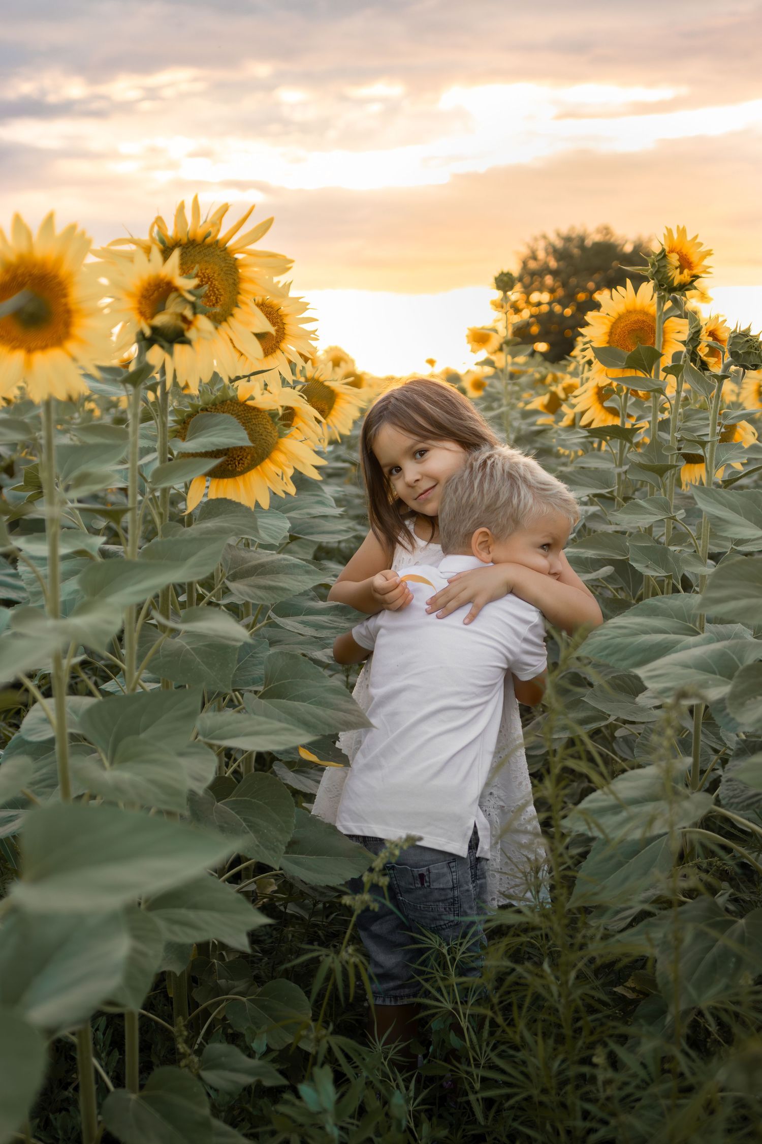 Two children hugging in a sunflower field at sunset, wearing white shirts, surrounded by tall yellow sunflowers.