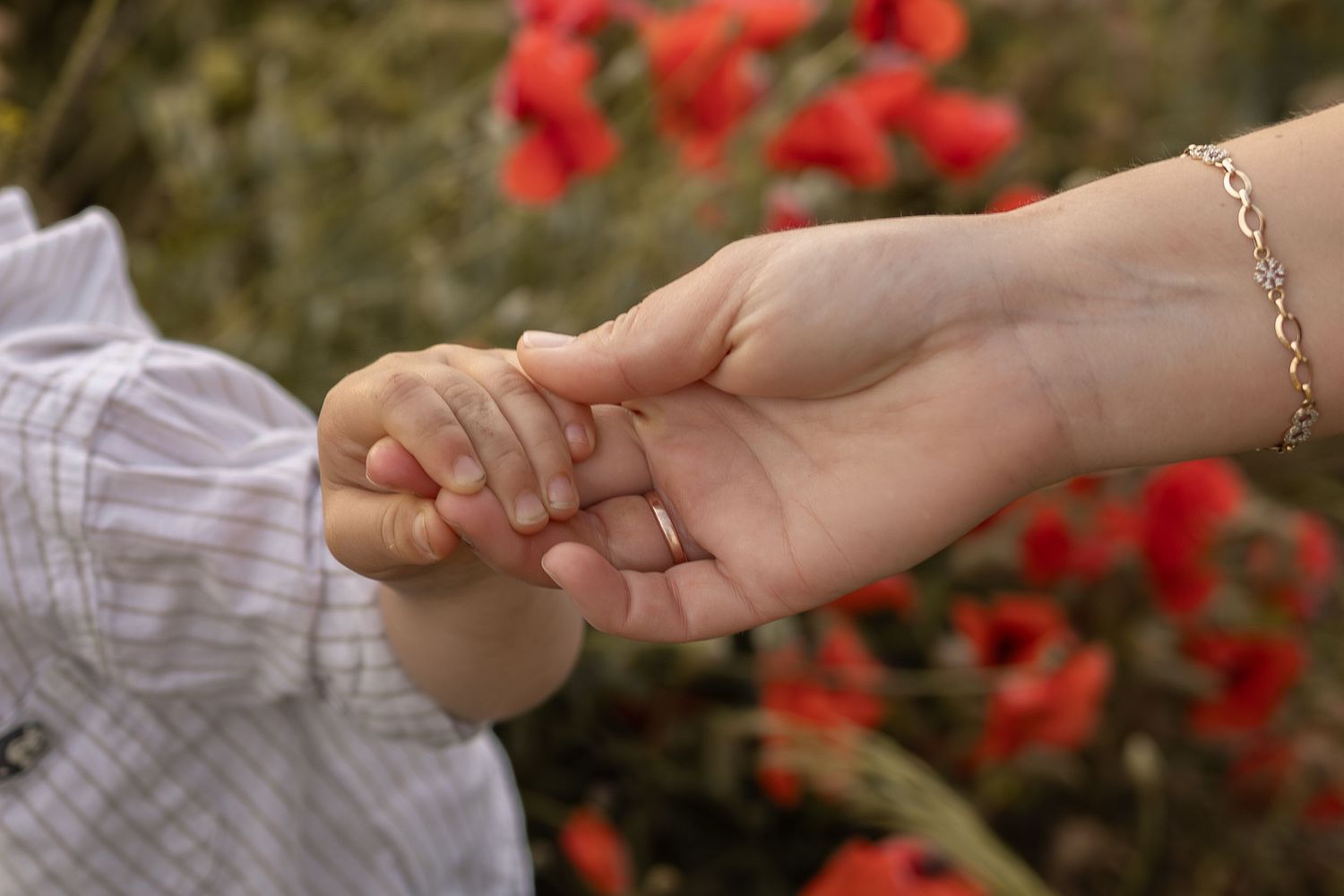 Adult hand gently holding a small baby's hand outdoors with red poppy flowers in the background.
