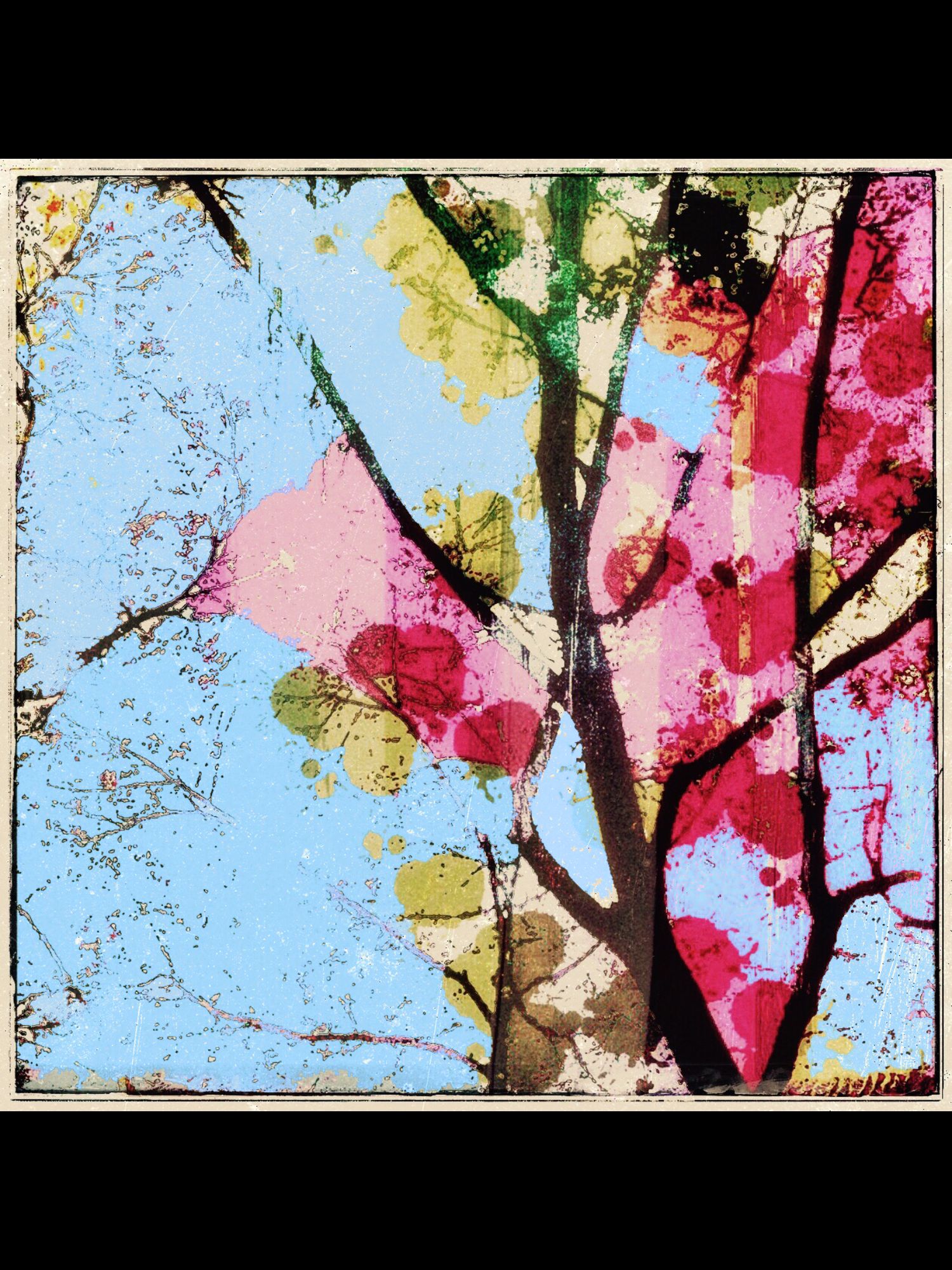 Artistic photograph of tree branches with pink and blue watercolor effects against a light sky.