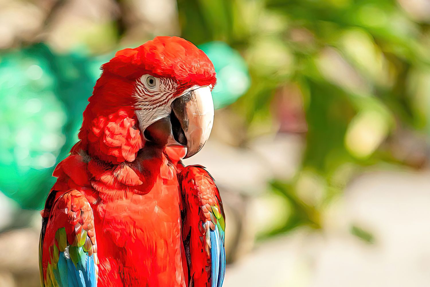 Colorful scarlet macaw in close-up profile showing bright red plumage and distinctive beak.