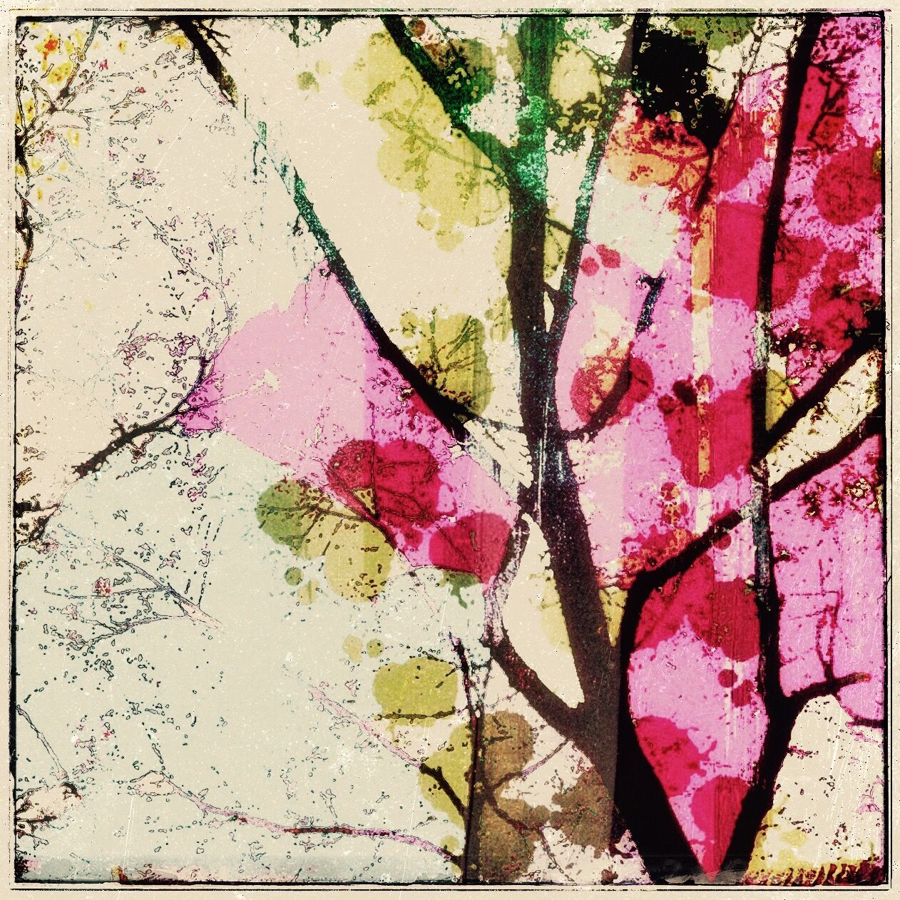 Abstract watercolor artwork featuring tree branches with pink and yellow splashes on white background.