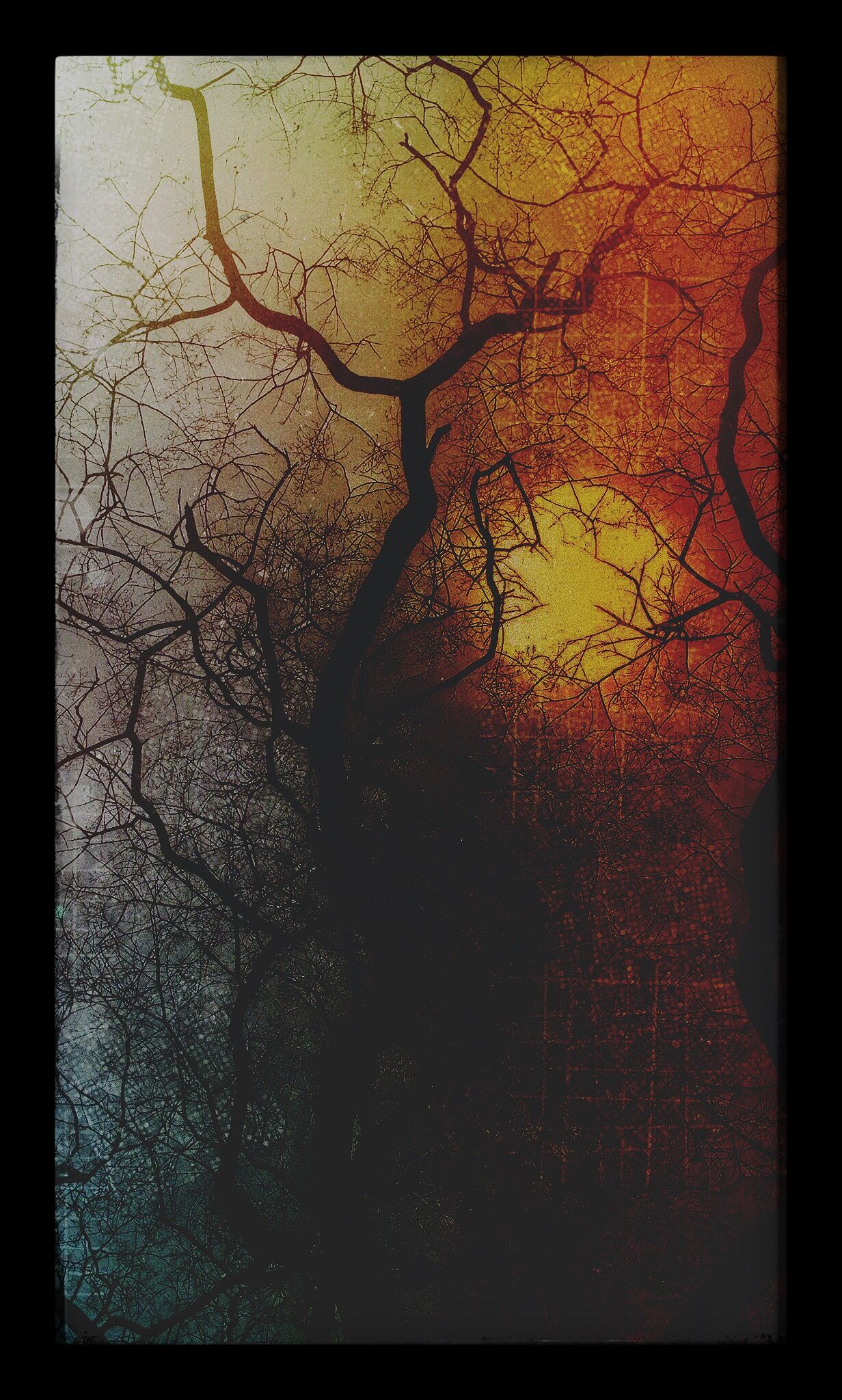 Silhouetted tree branches against a dramatic sunset sky with orange and teal gradient colors.