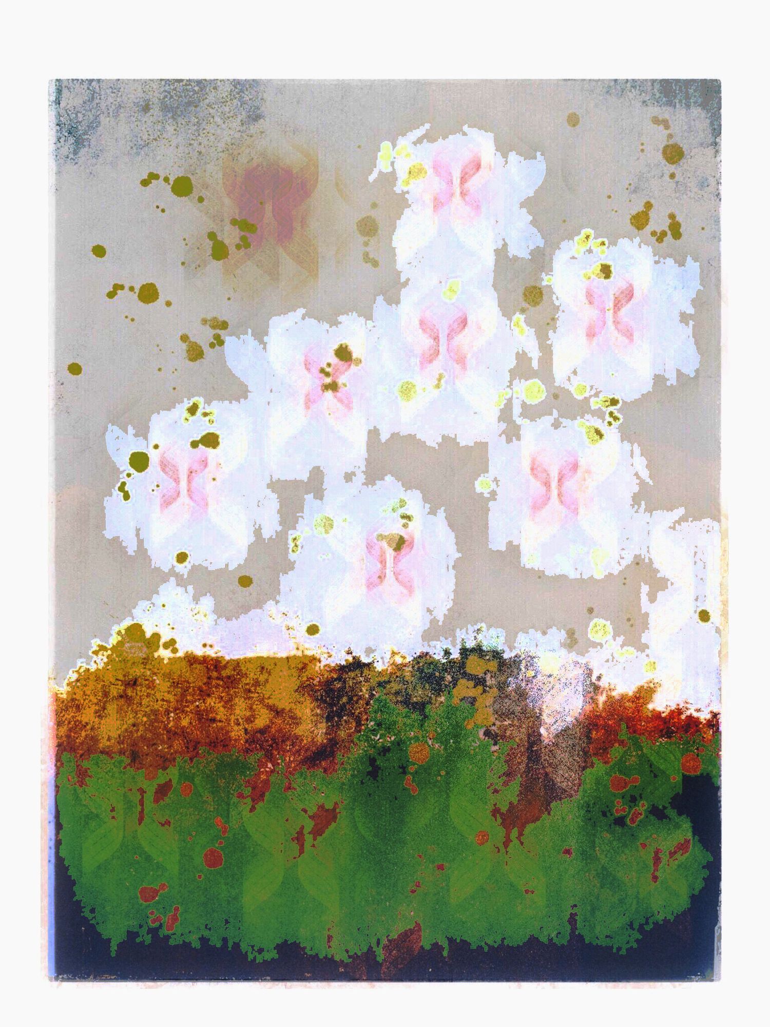 Abstract painting of white cherry blossoms floating above a green and brown landscape.