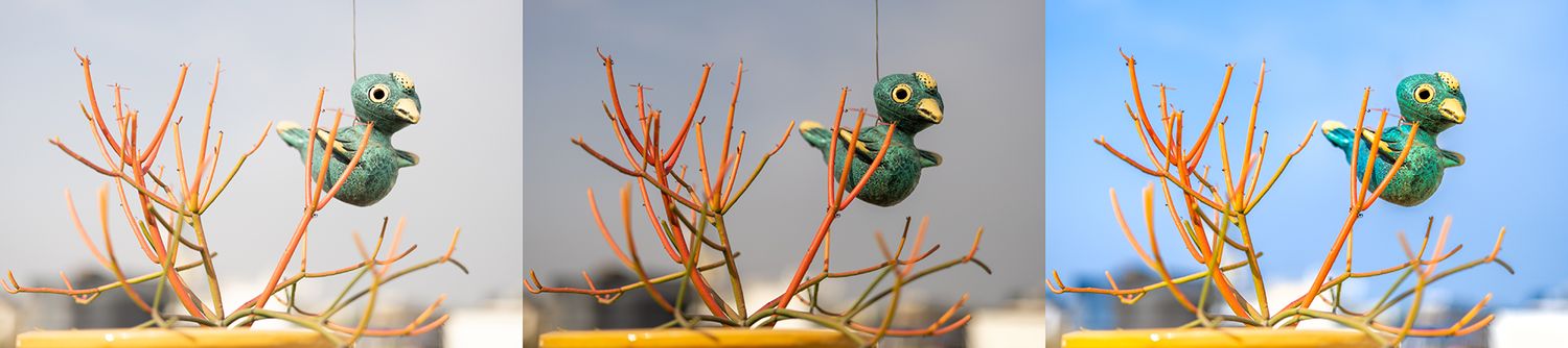 Three sequential shots of a green ceramic bird balanced on orange branches.