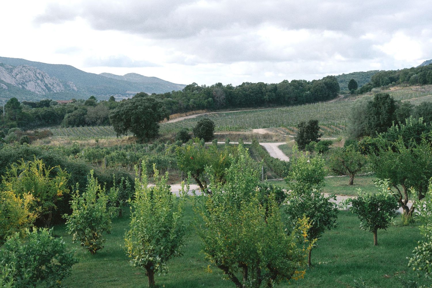 Domaine de Saparale